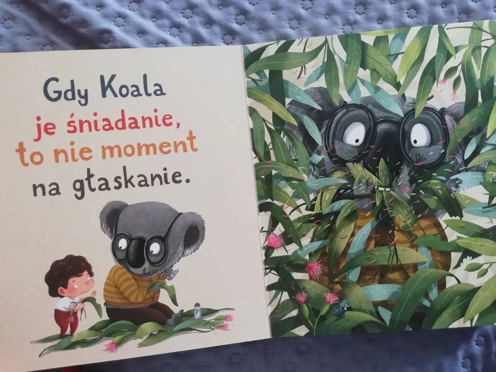 Koala nie pozwala