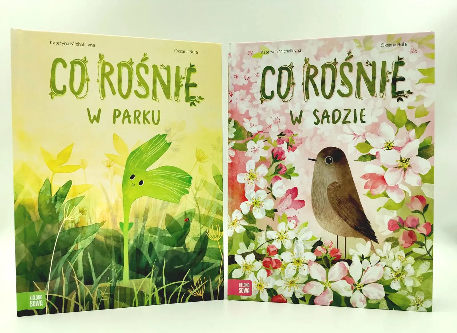 Co rośnie w parku, Co rośnie w sadzie