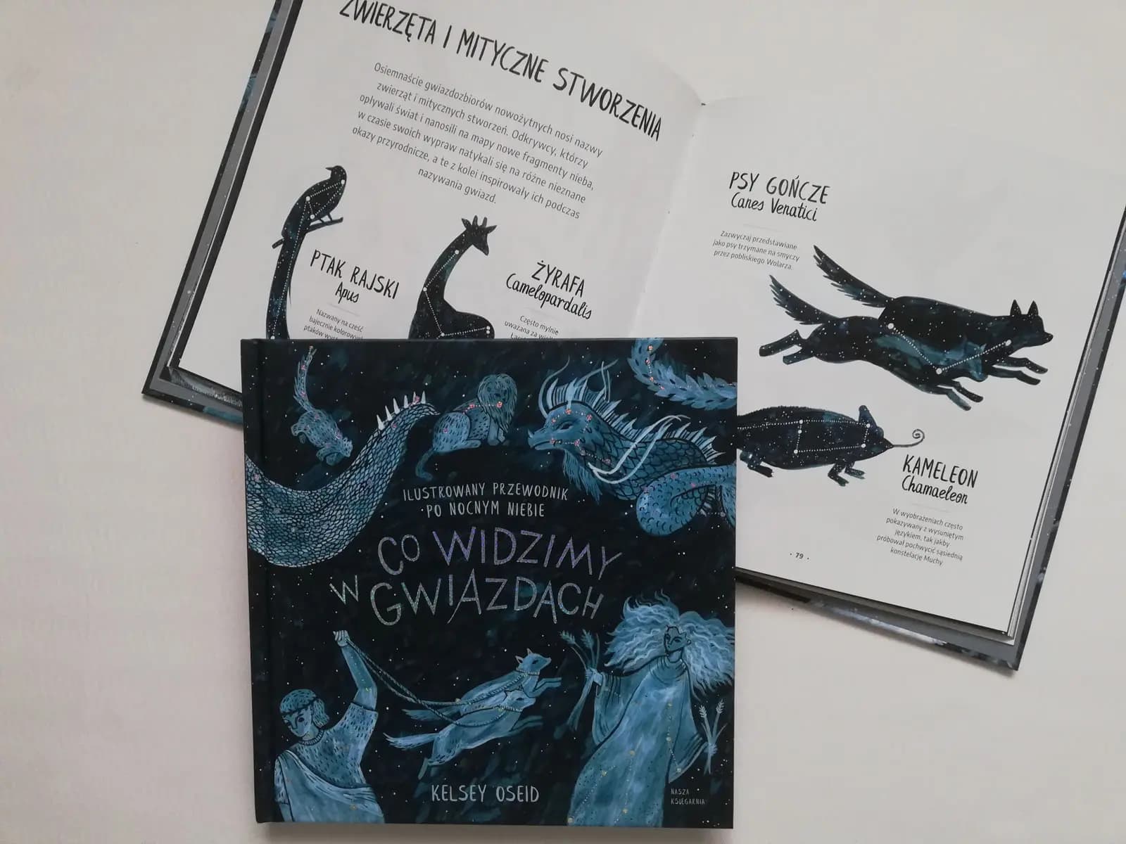 przewodnik po nocnym niebie