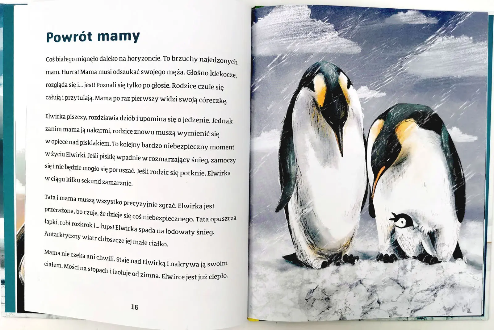 Elwirka na śnieżnej pustyni
