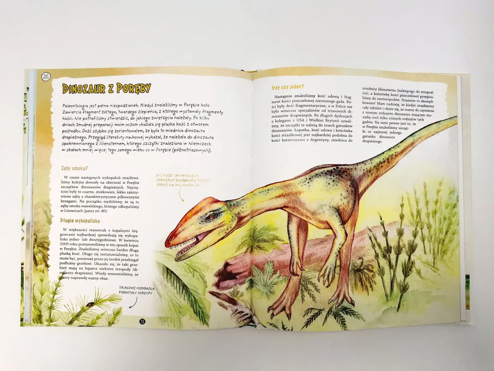 Gdy na Ziemi żyły dinozaury
