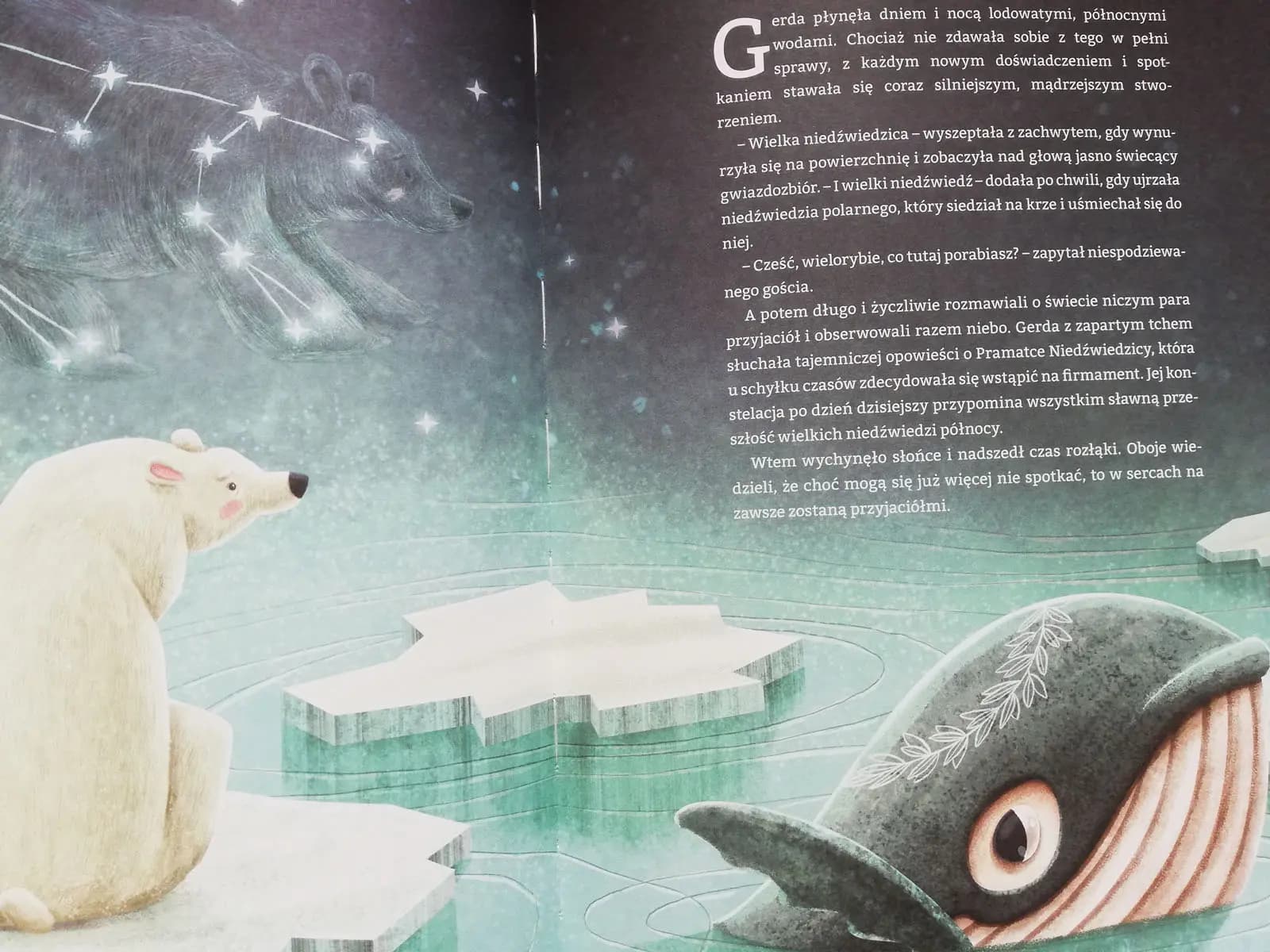 przyjaźń z niedżwiedziem polarnym