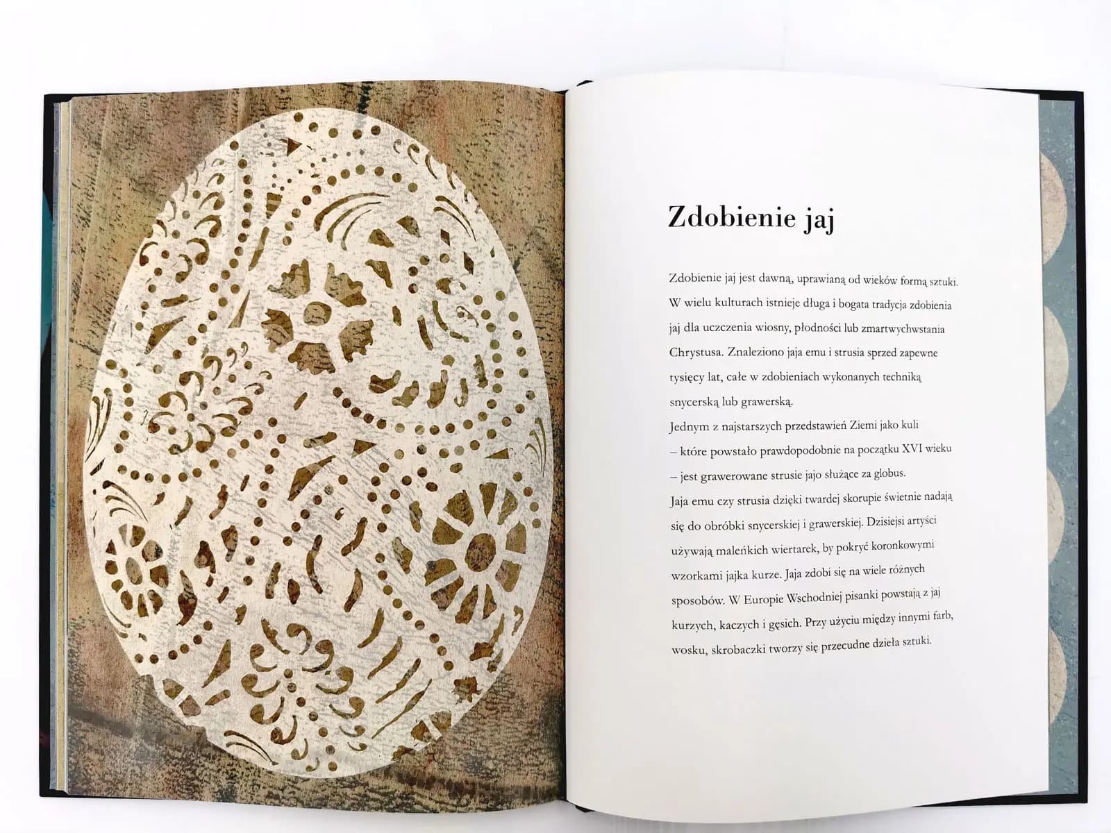 Jajko i Ptaki i ich pióra Britty Teckentrup
