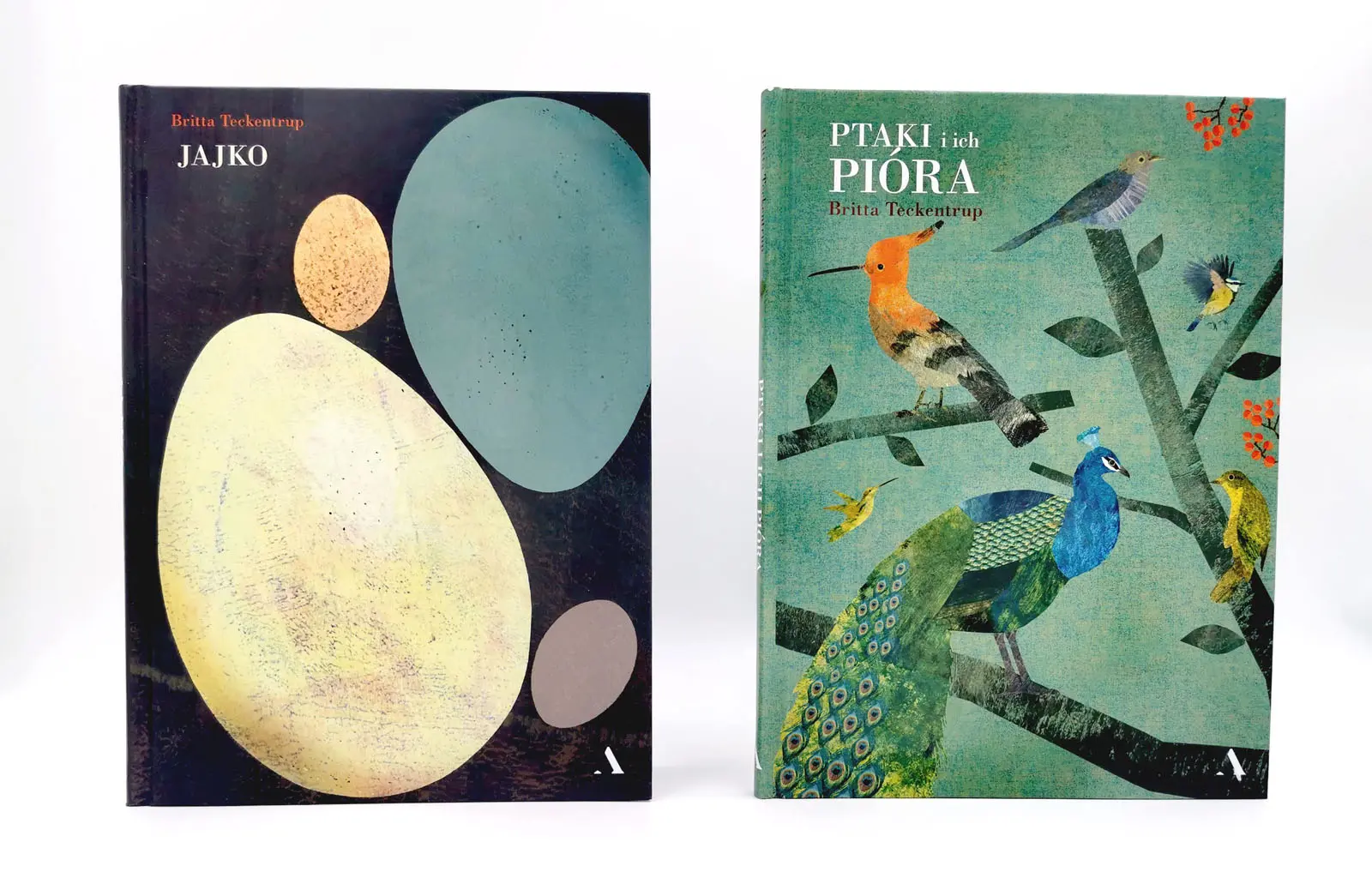 Jajko i Ptaki i ich pióra Britty Teckentrup