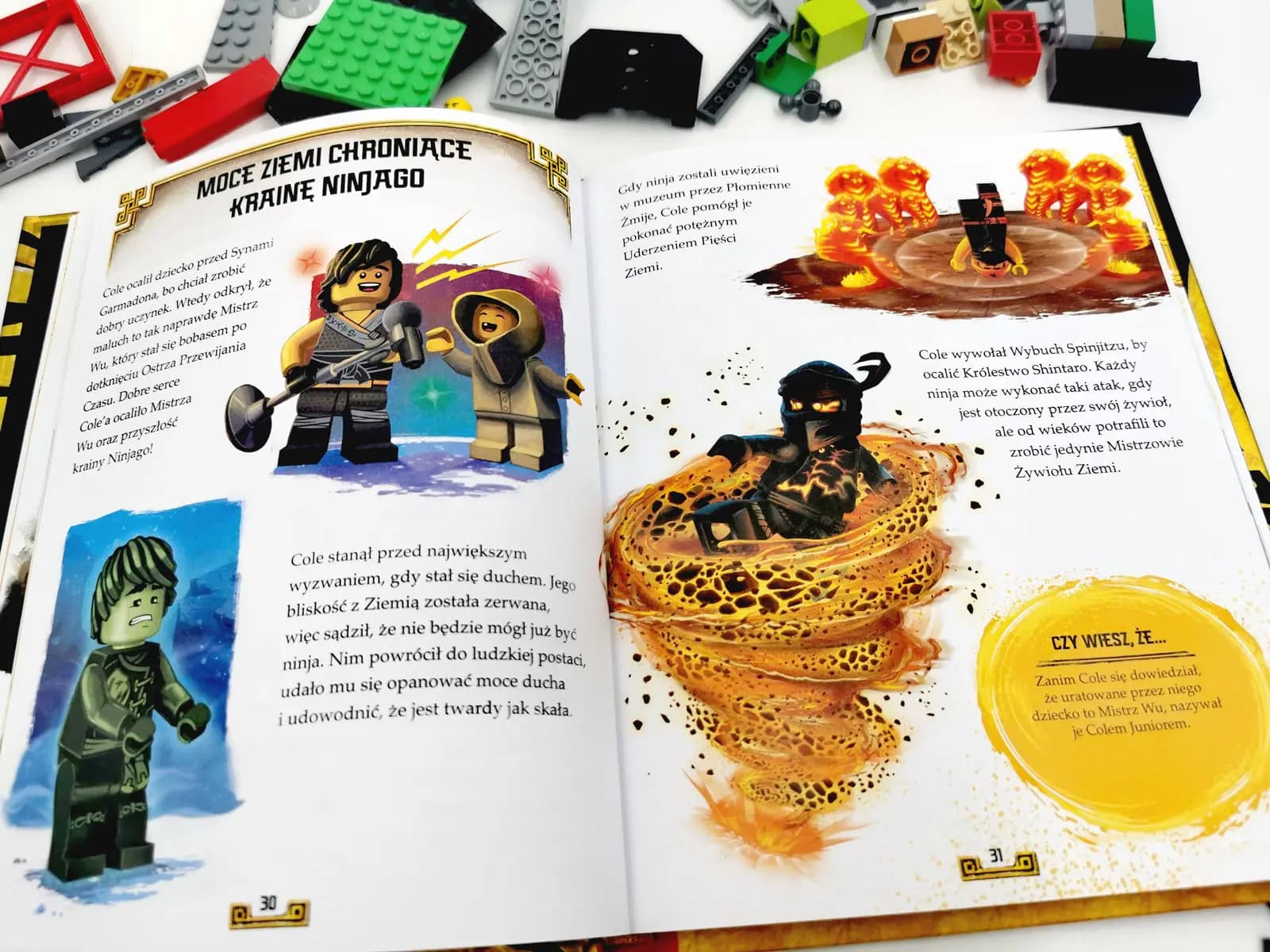 Książki LEGO