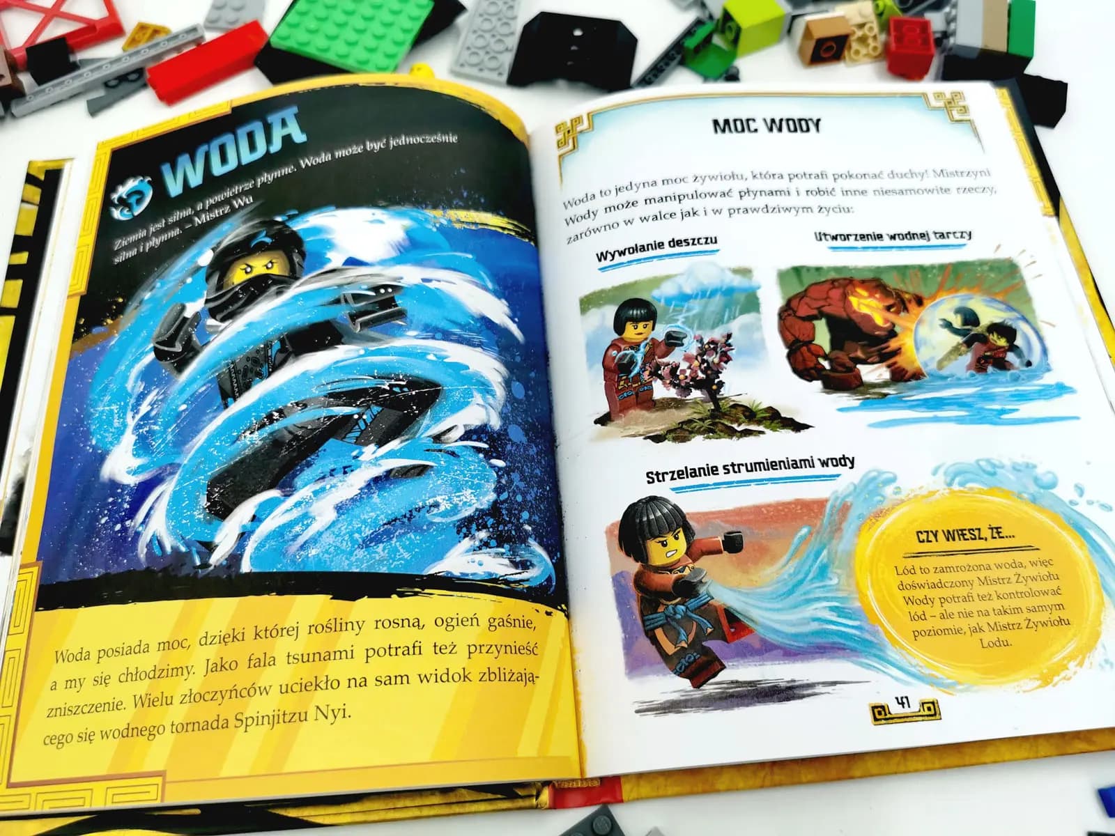 Książki LEGO