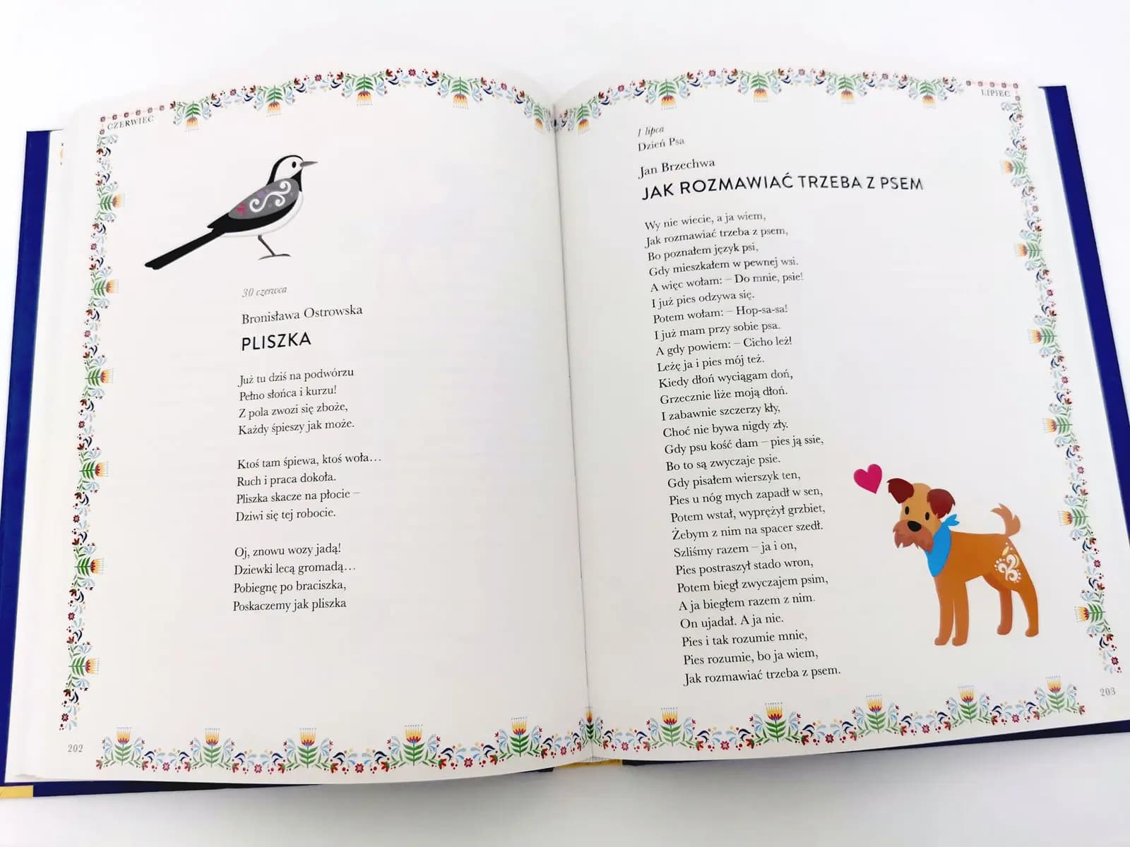 10 książek od wydawnictwa Wilga