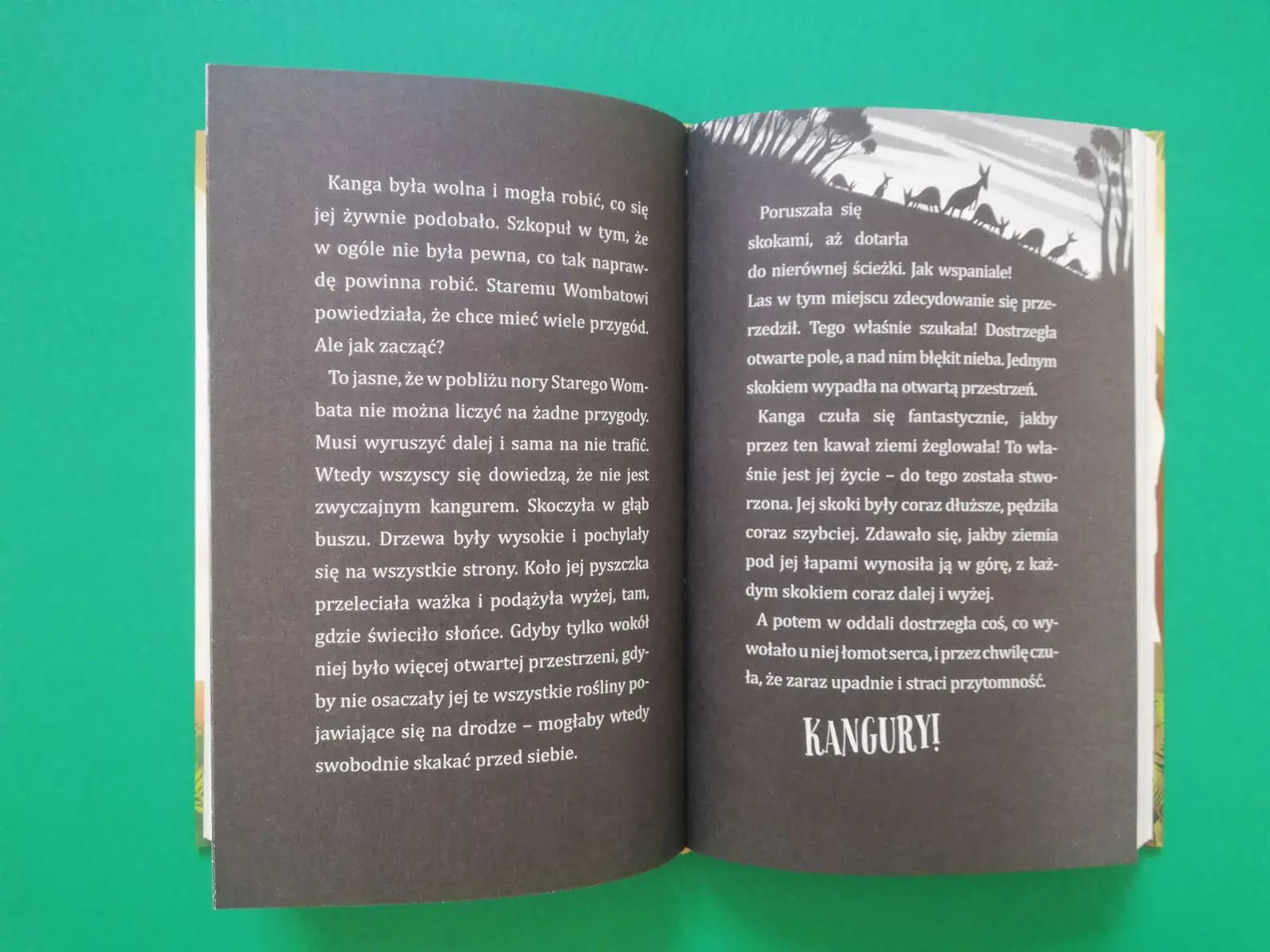 Kanga chce poznać inne Kangury