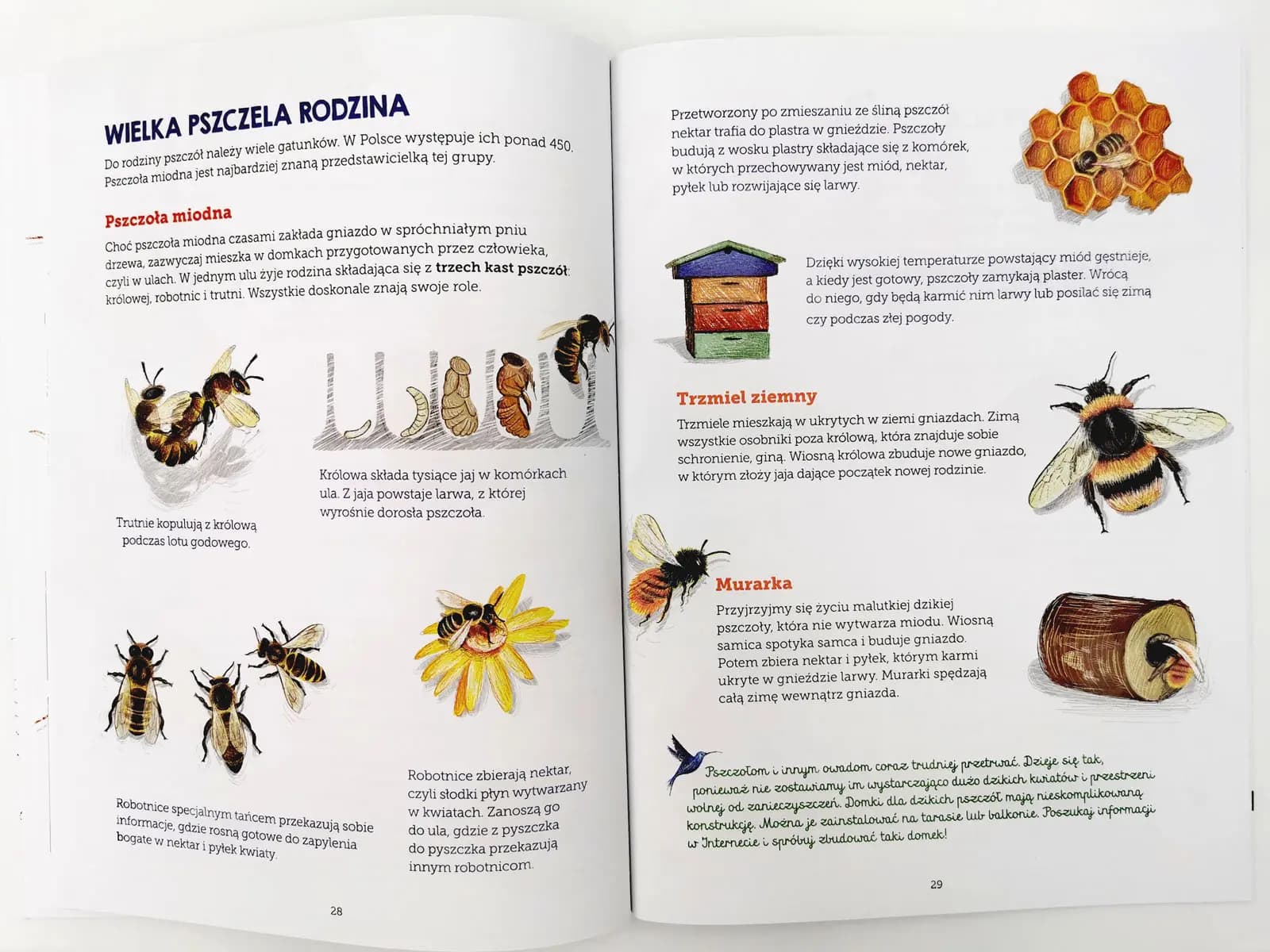 Mój zeszyt obserwacji przyrodniczych