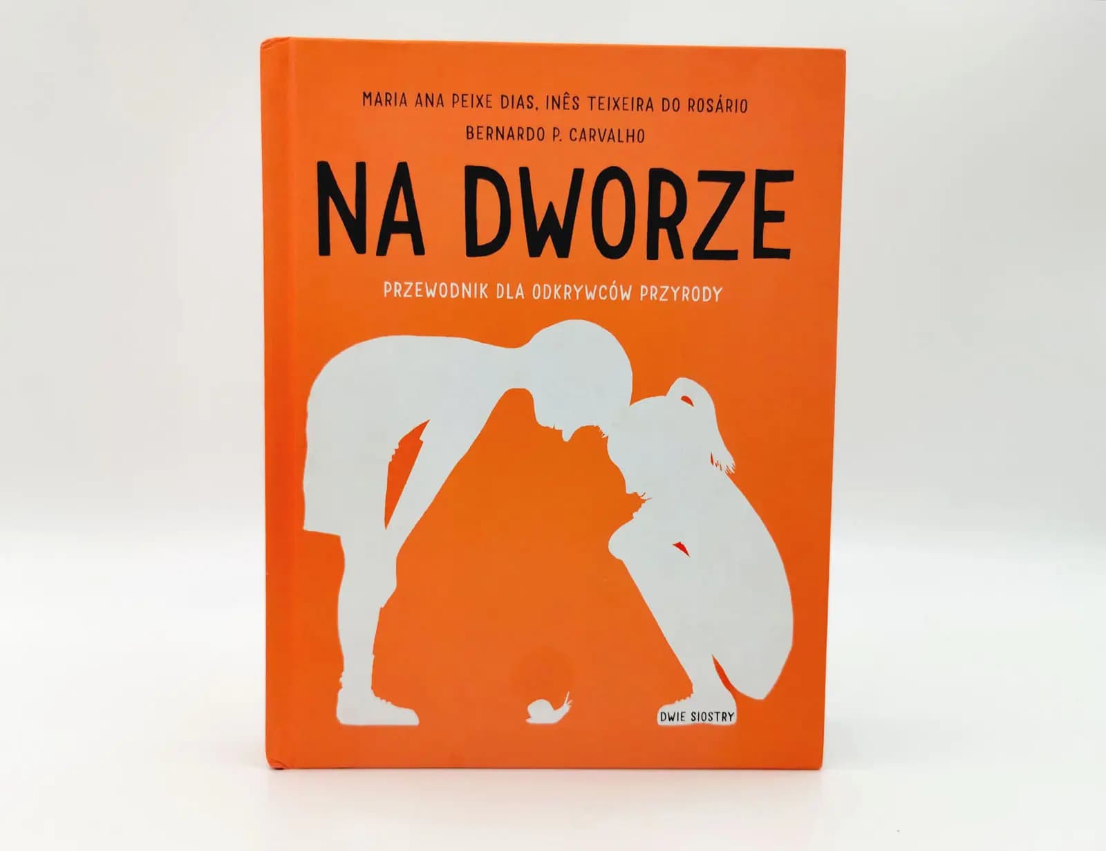 Na dworze