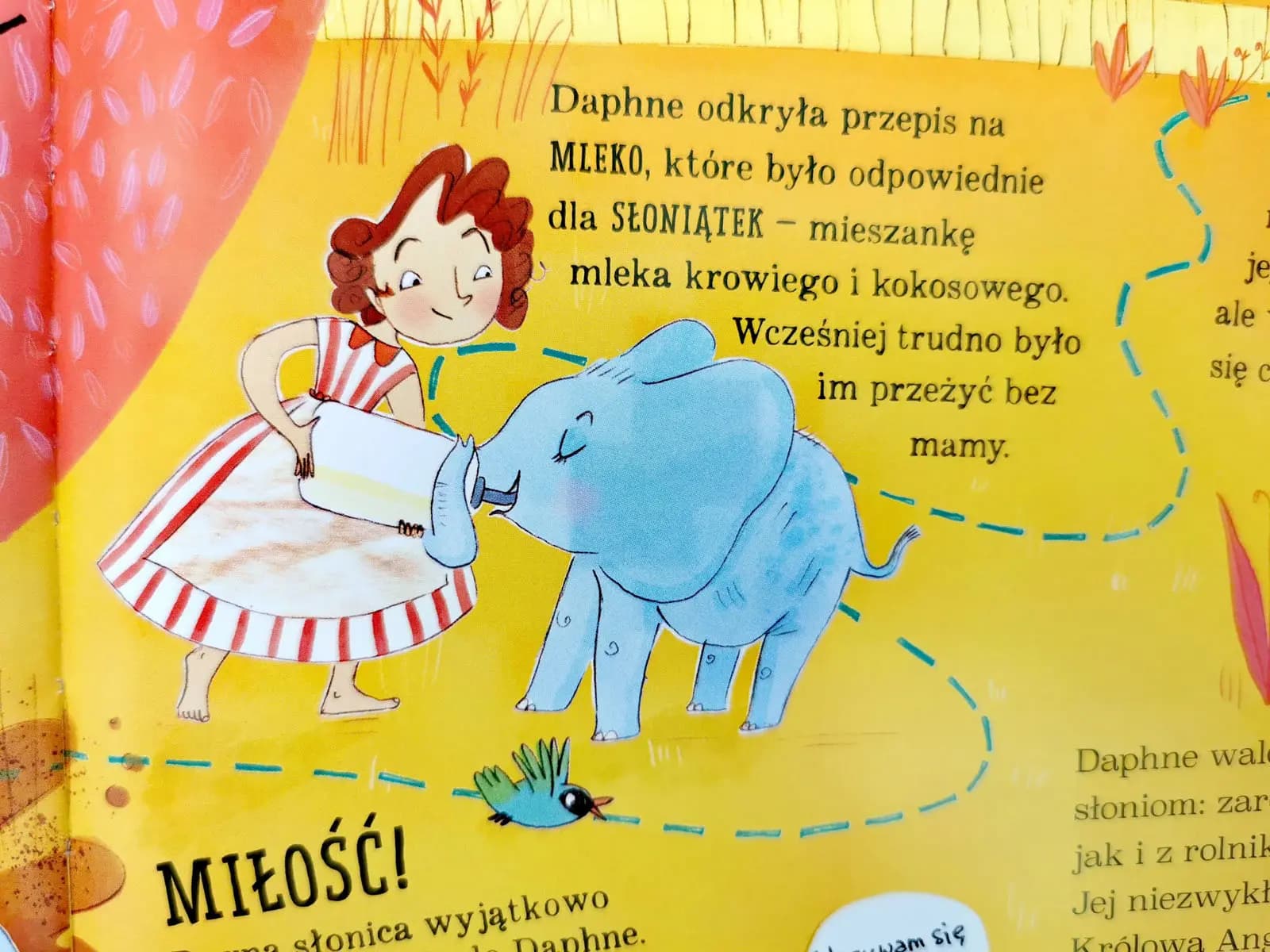 Nadzwyczajnie wspaniałe kobiety, które ratowały planetę