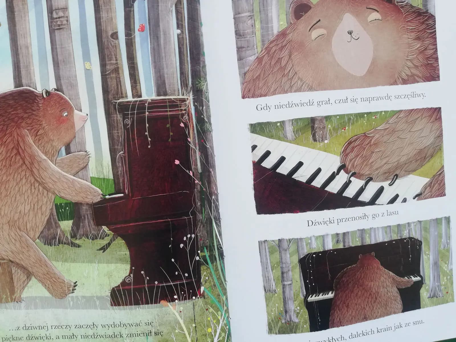 niedźwiedź i pianino