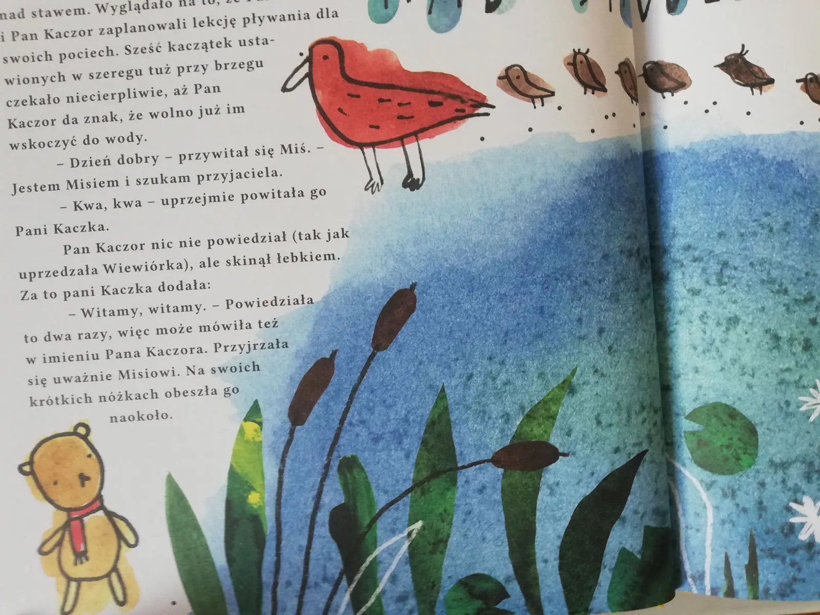 O misiu, który szukał przyjaciela