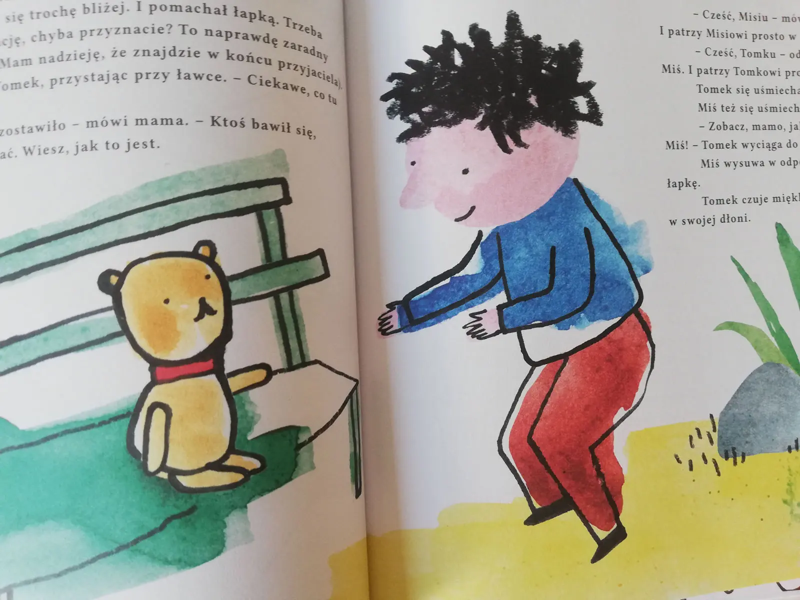 O misiu, który szukał przyjaciela