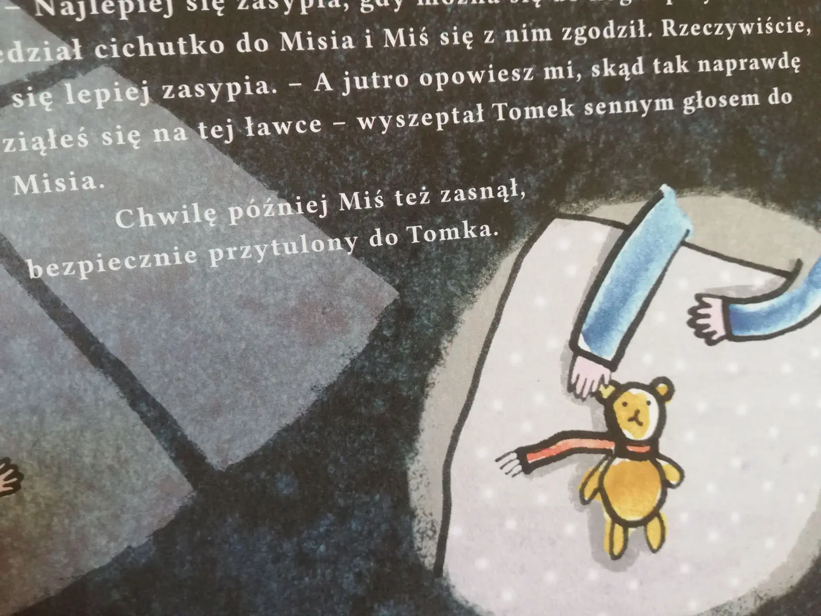 O misiu, który szukał przyjaciela