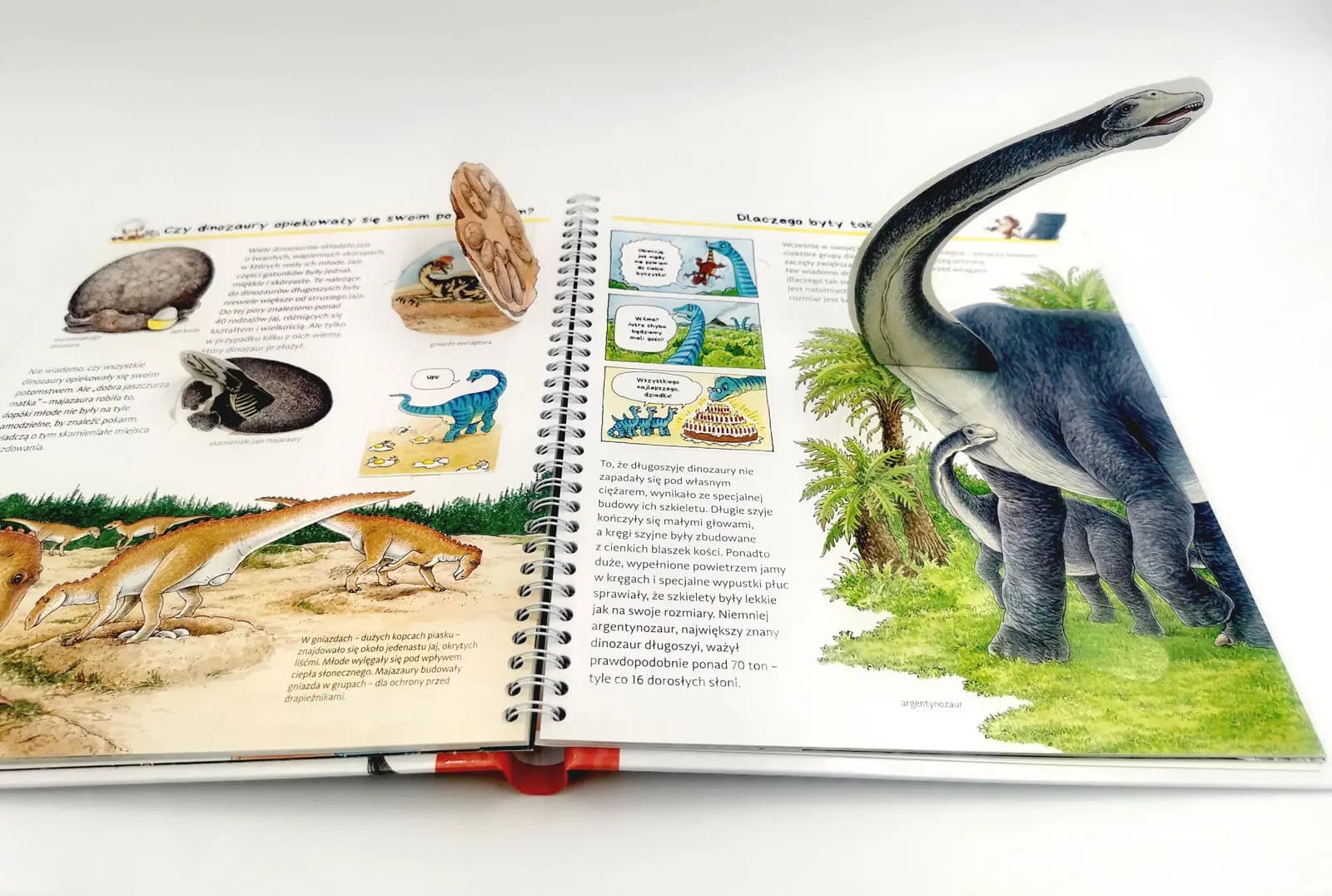 Odkrywamy dinozaury - recenzja książki z serii Dlaczego? Kiedy? Jak?