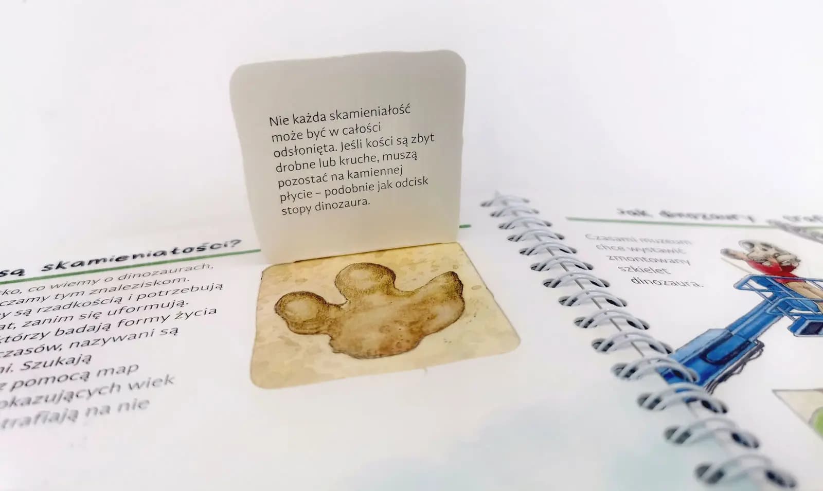 Odkrywamy dinozaury - recenzja książki z serii Dlaczego? Kiedy? Jak?