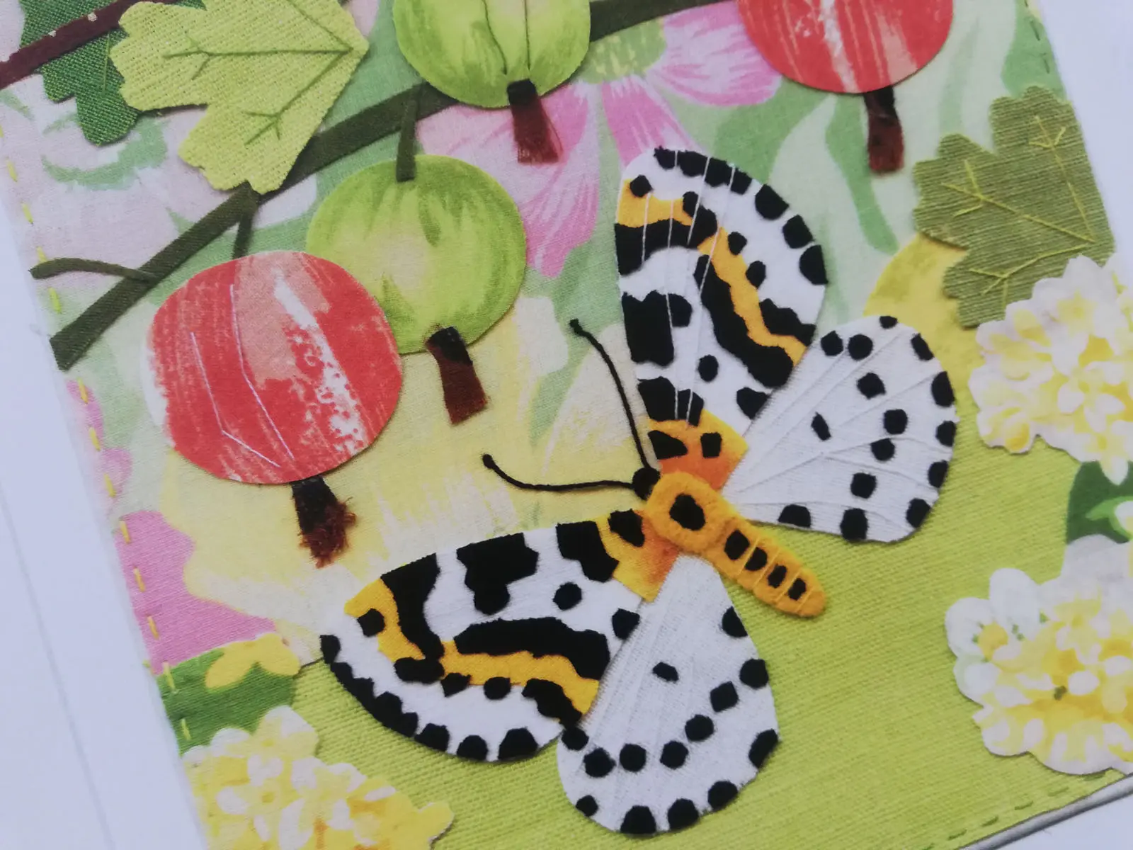 ilustracje pani Ewy
