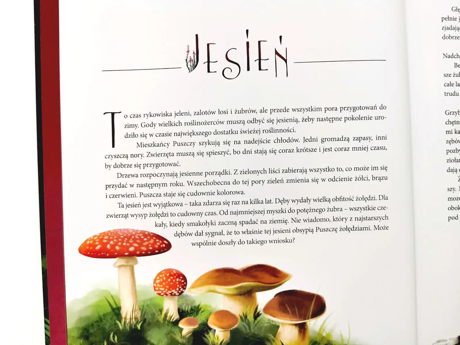 Puszcza książka Kostrzyński