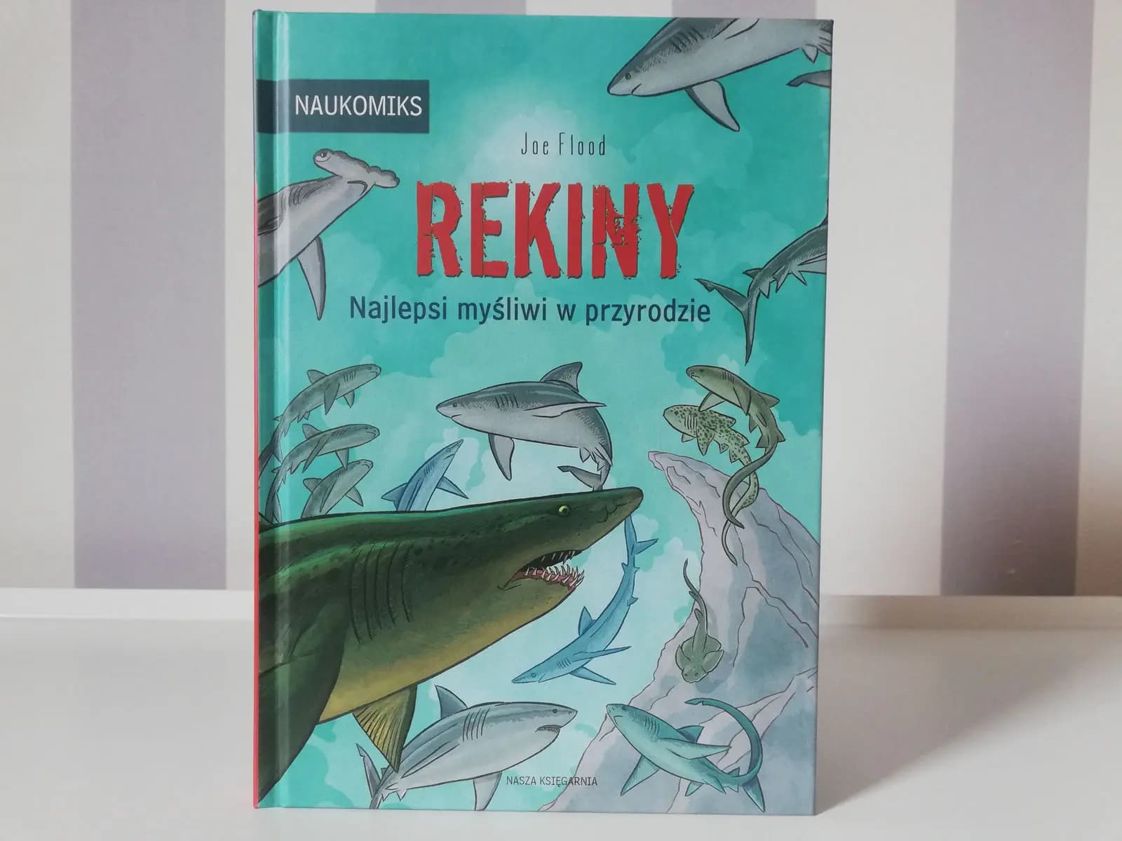 rekiny