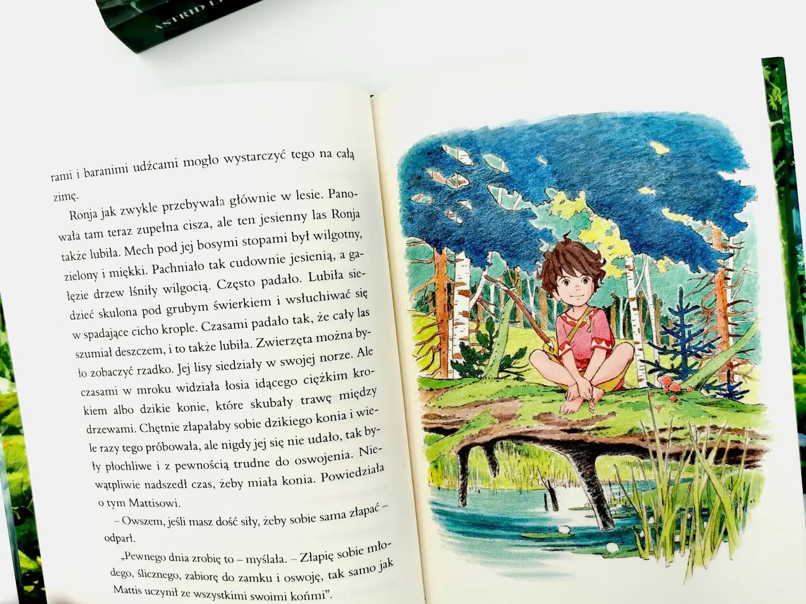 Ronja, córka zbójnika