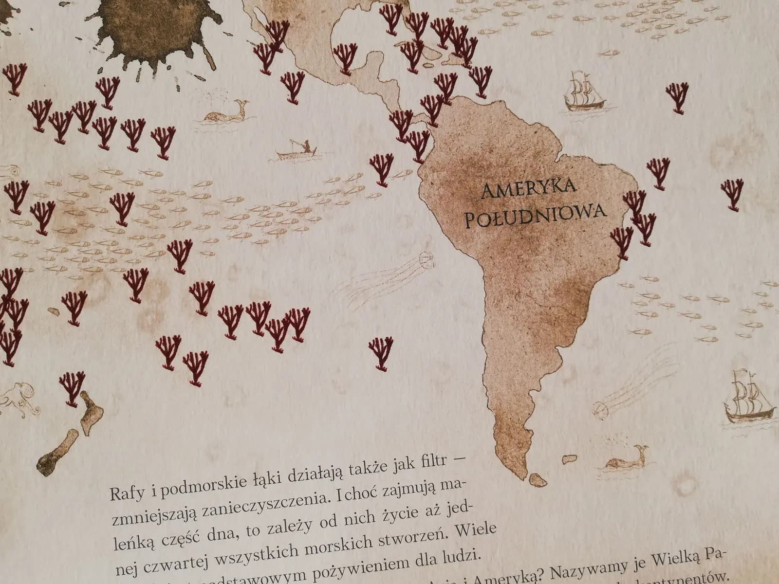gdzie znajdziemy rafy koralowe?