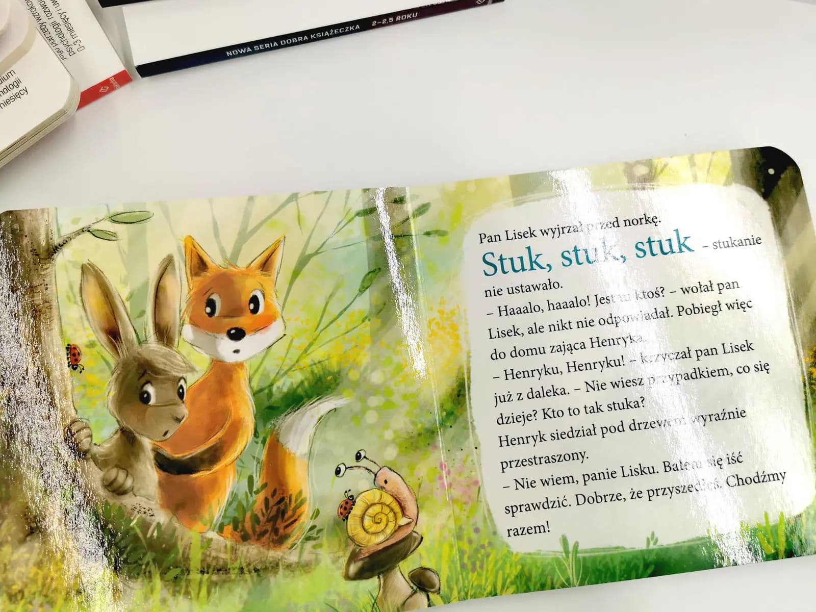 Seria dobra książeczka