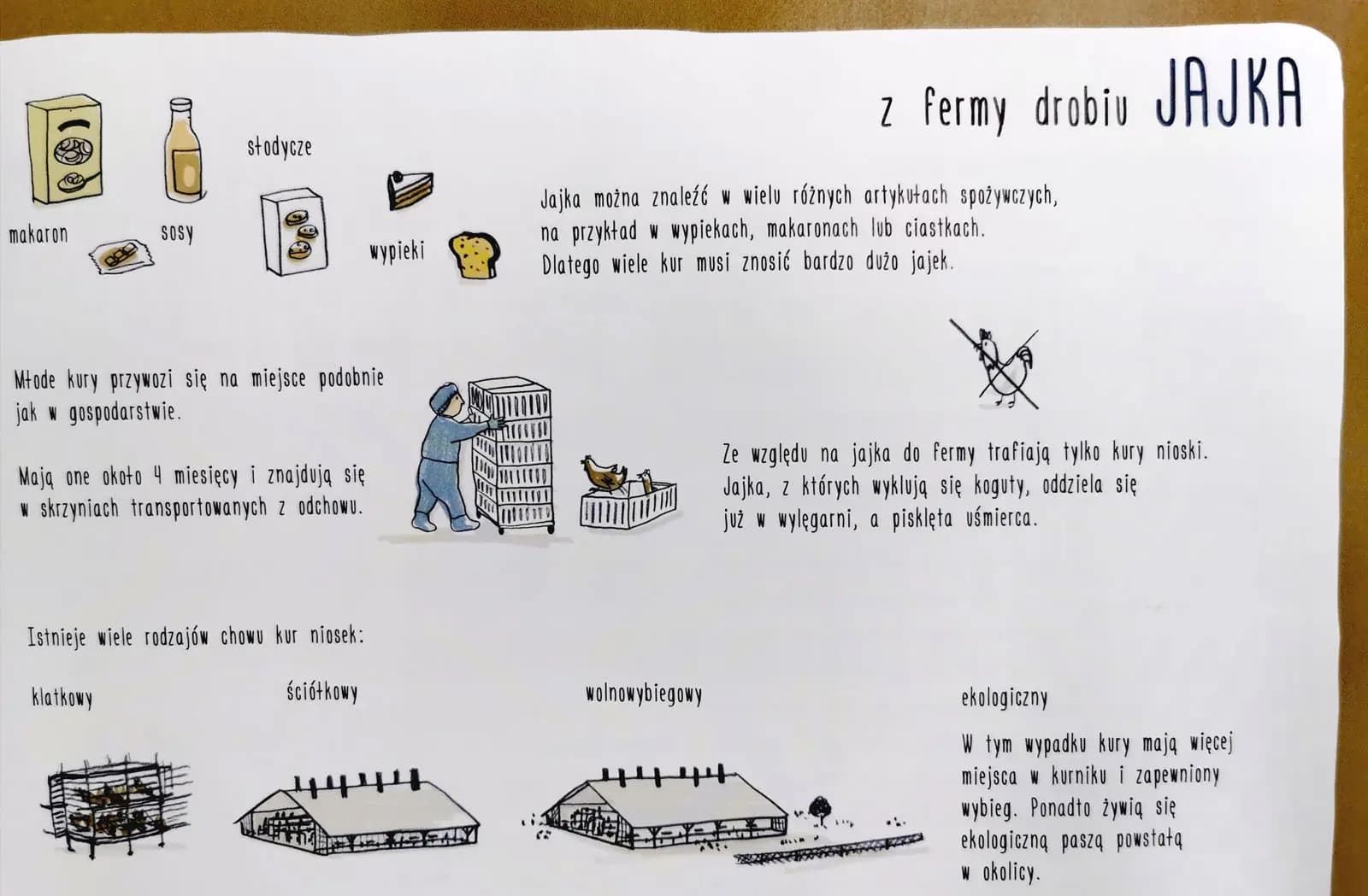 Skąd pochodzi nasze jedzenie?