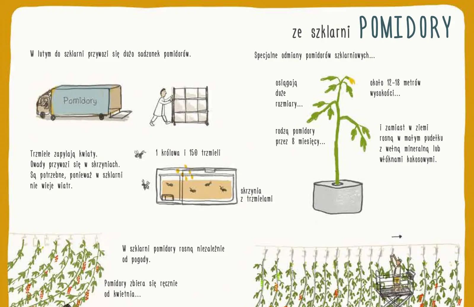 Skąd pochodzi nasze jedzenie?