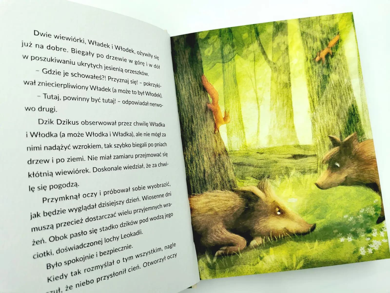 Świnia Malwina. Recenzja książki