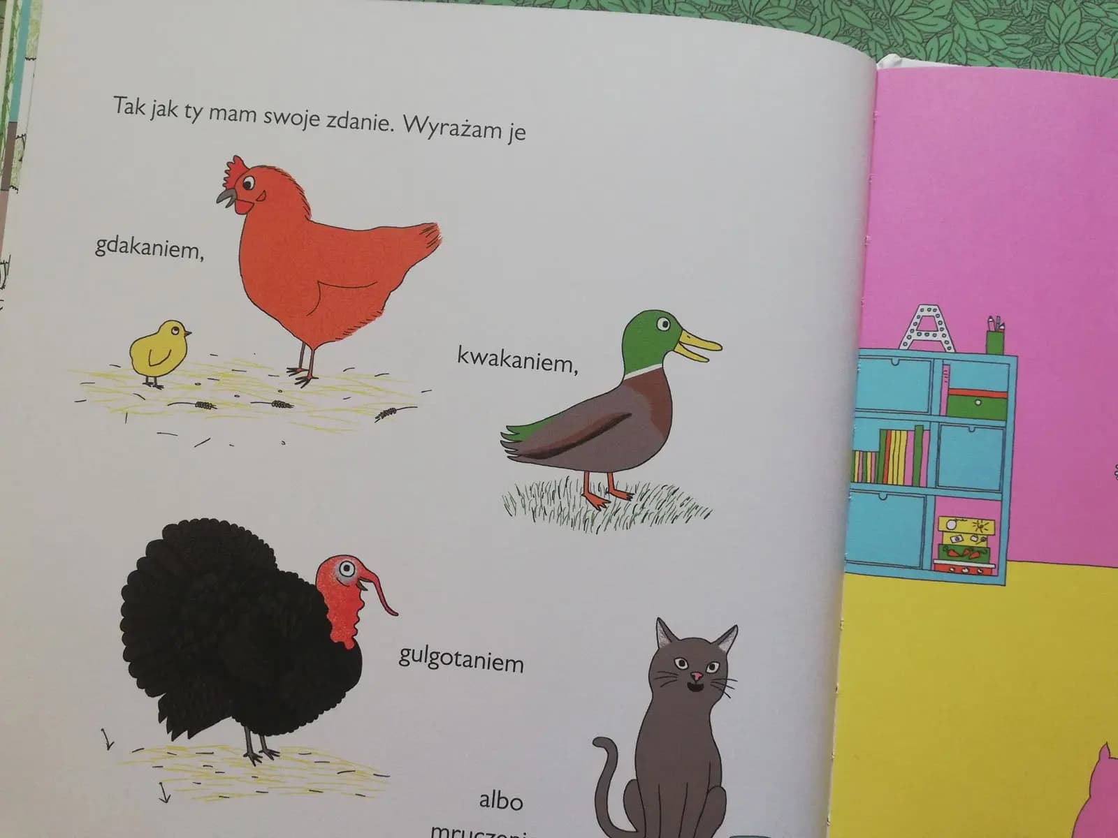 tak jak ty