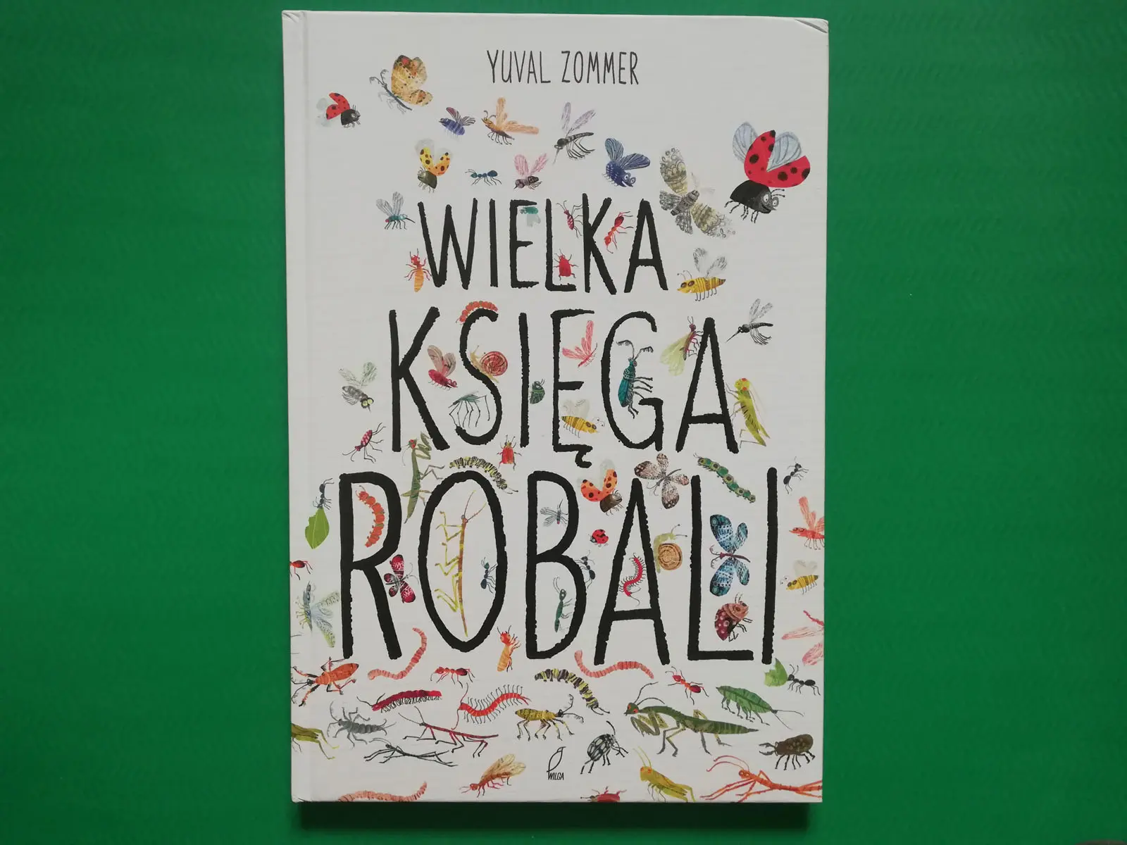 co warto wiedzieć o owadach