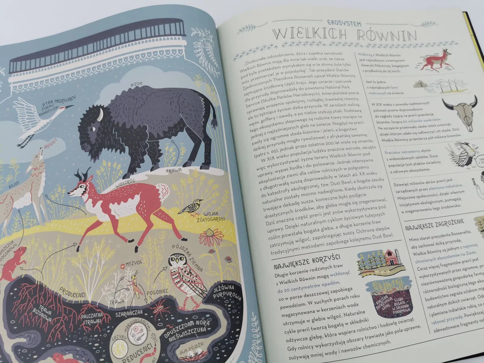 Wspaniała Planeta Ziemia i jej przyroda