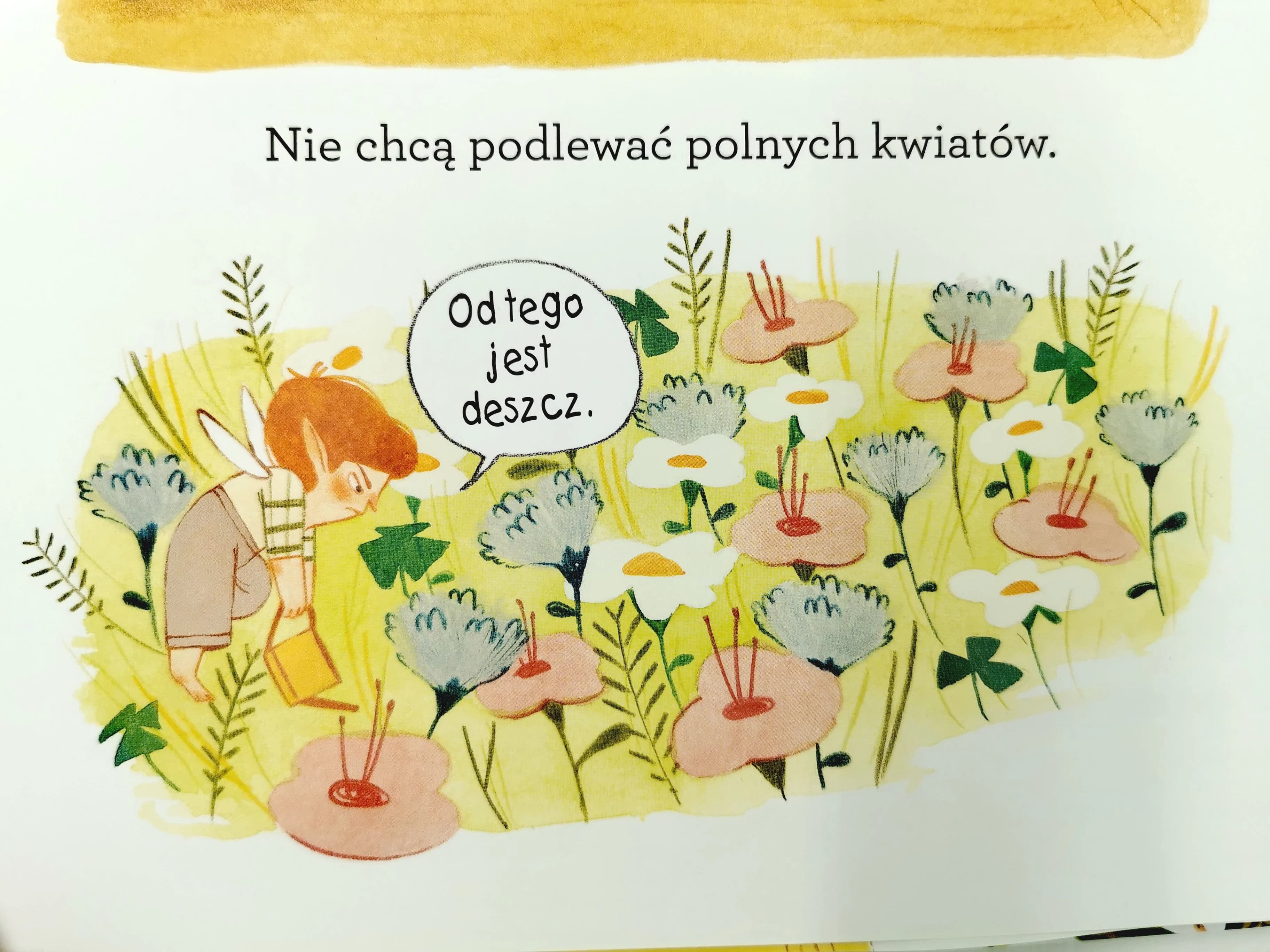 Kapryśne wróżki
