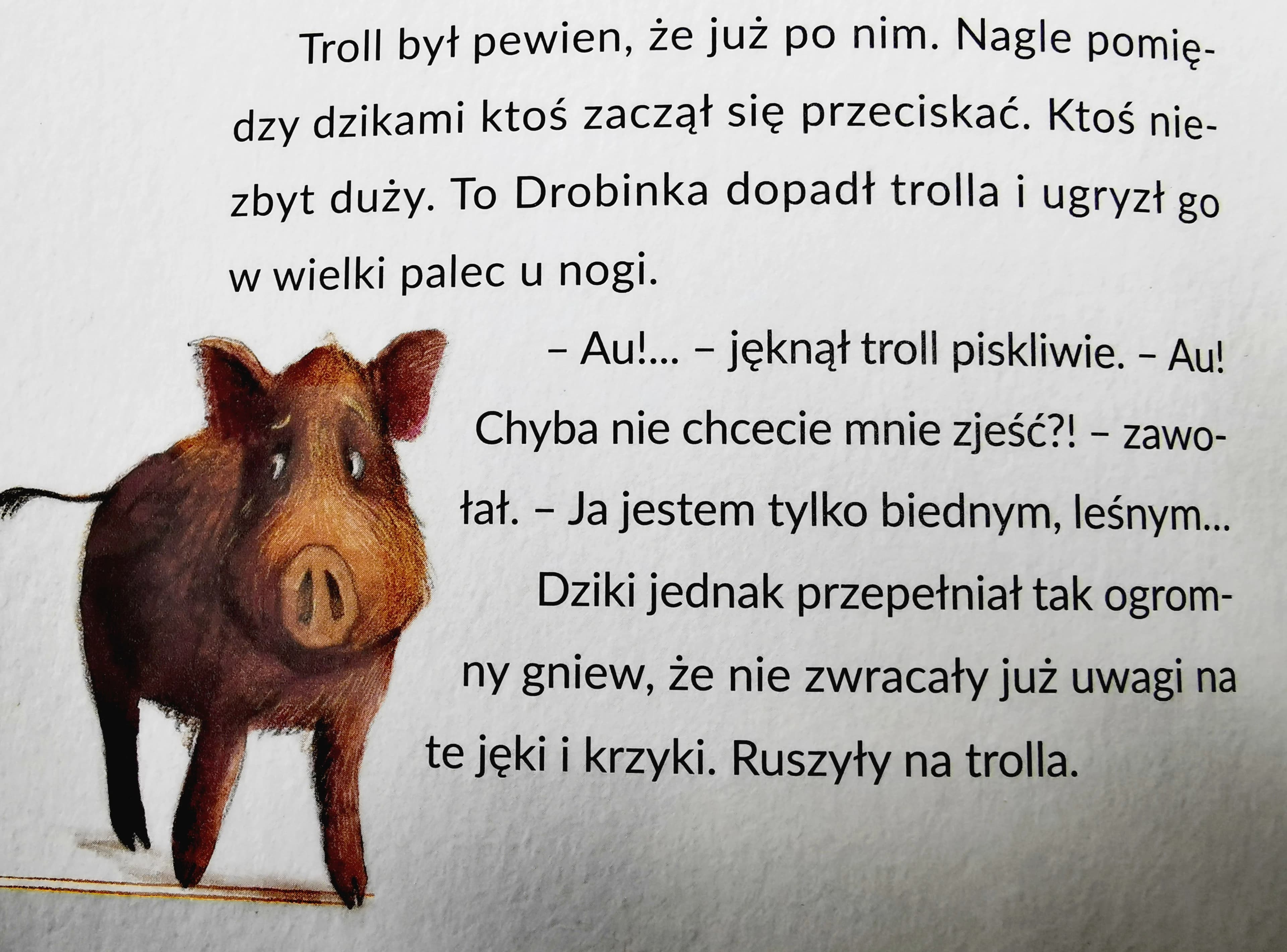 Dzik Dzikus