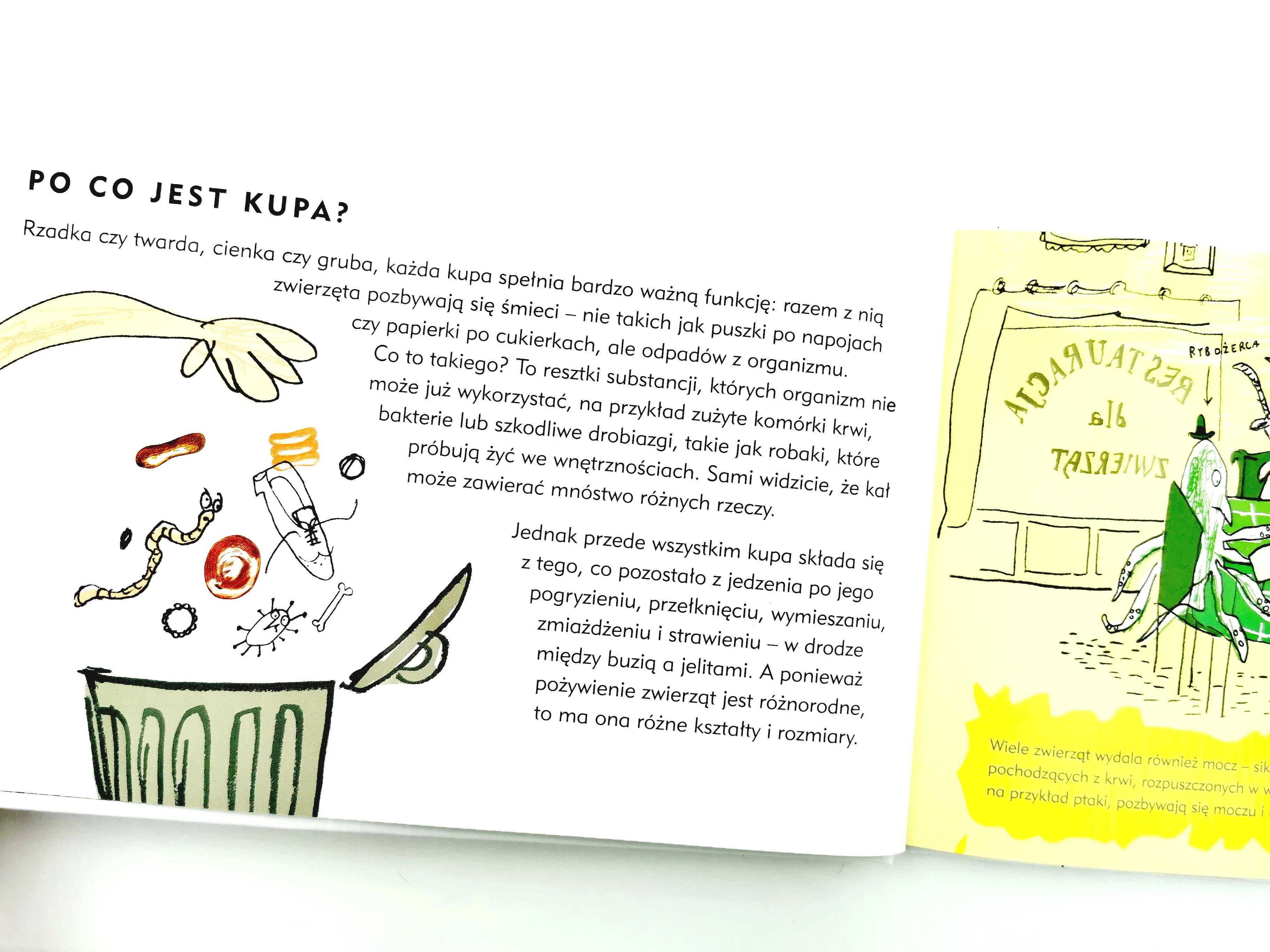 Kupa