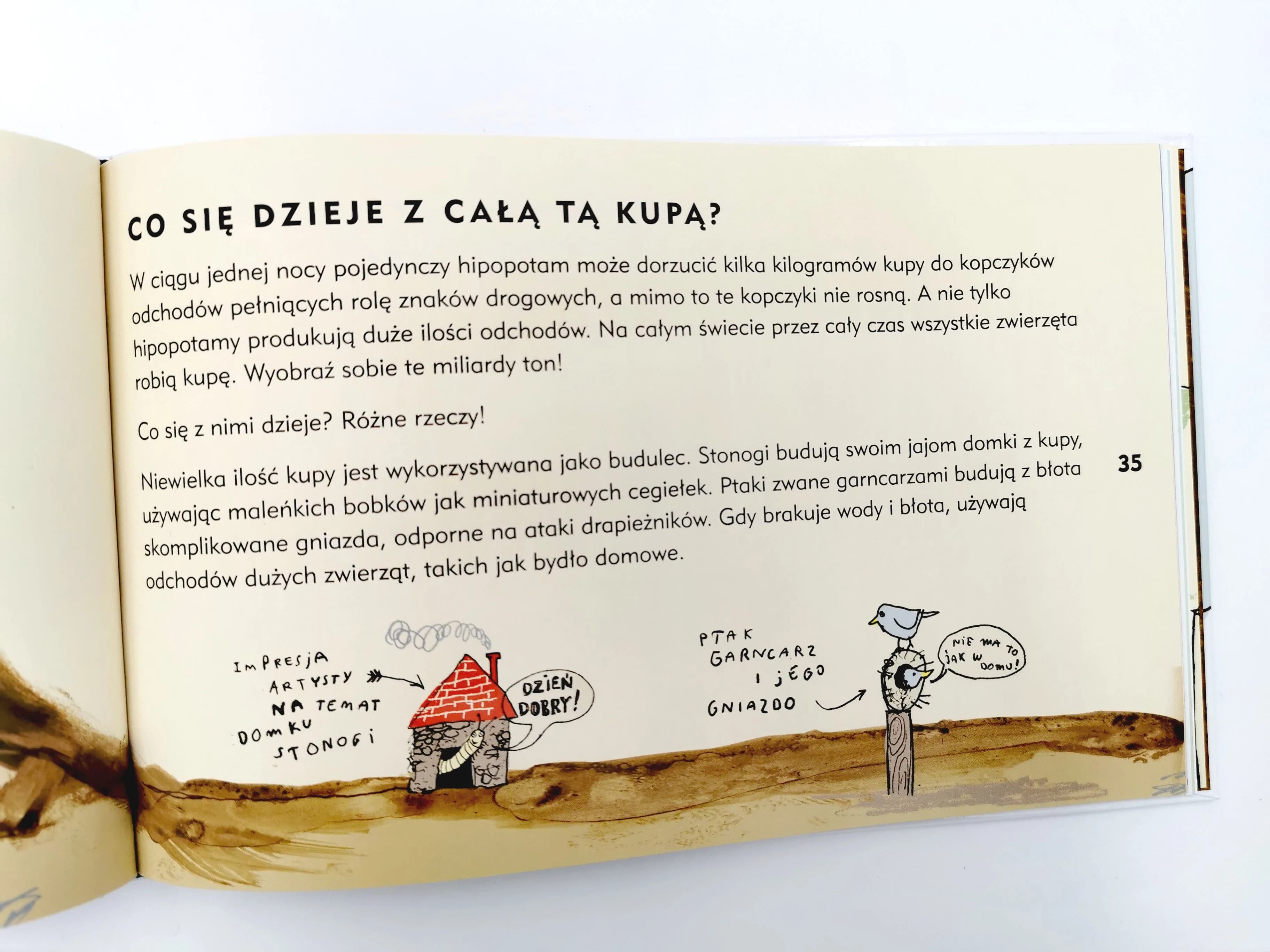Kupa
