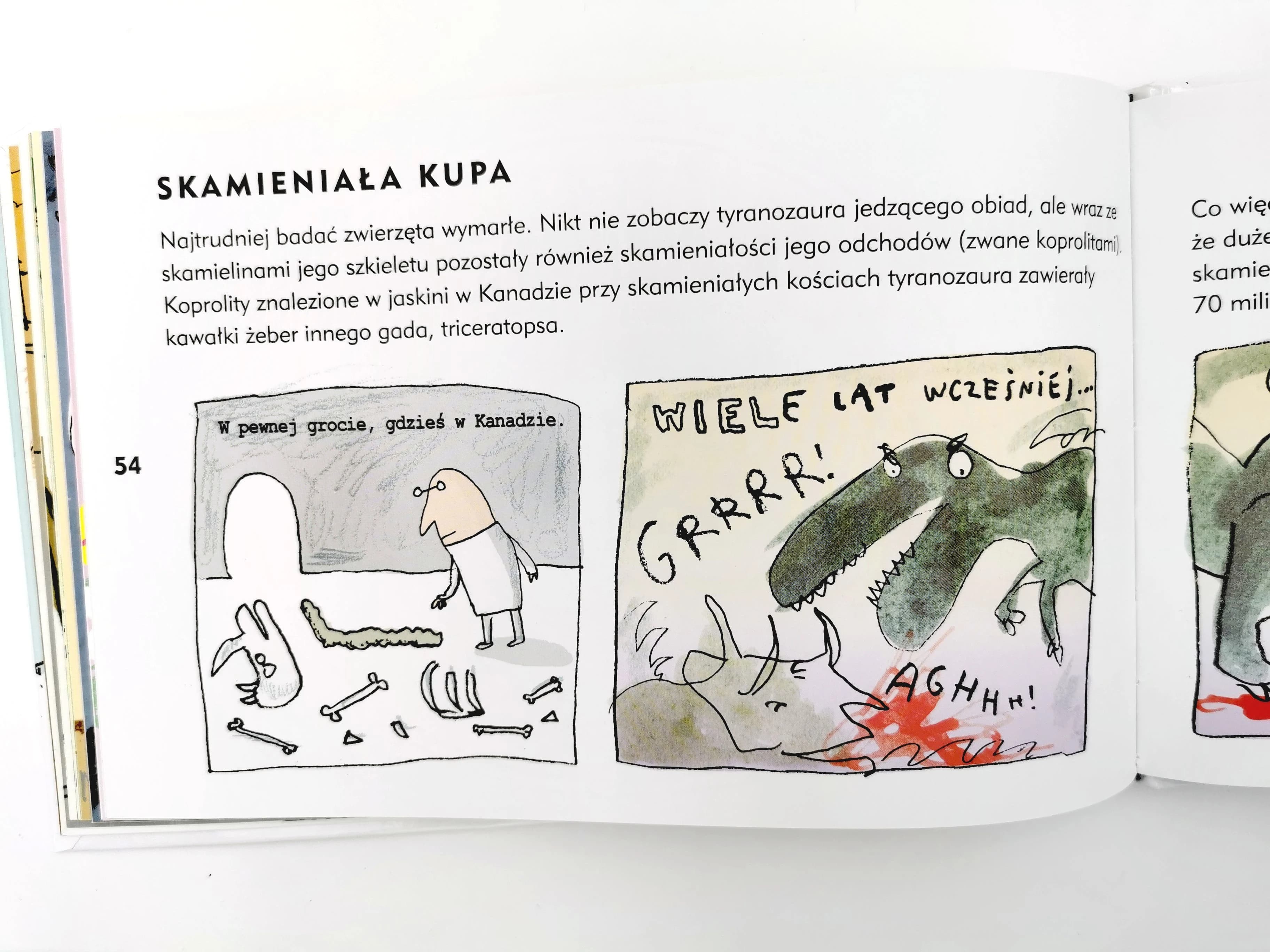 Kupa