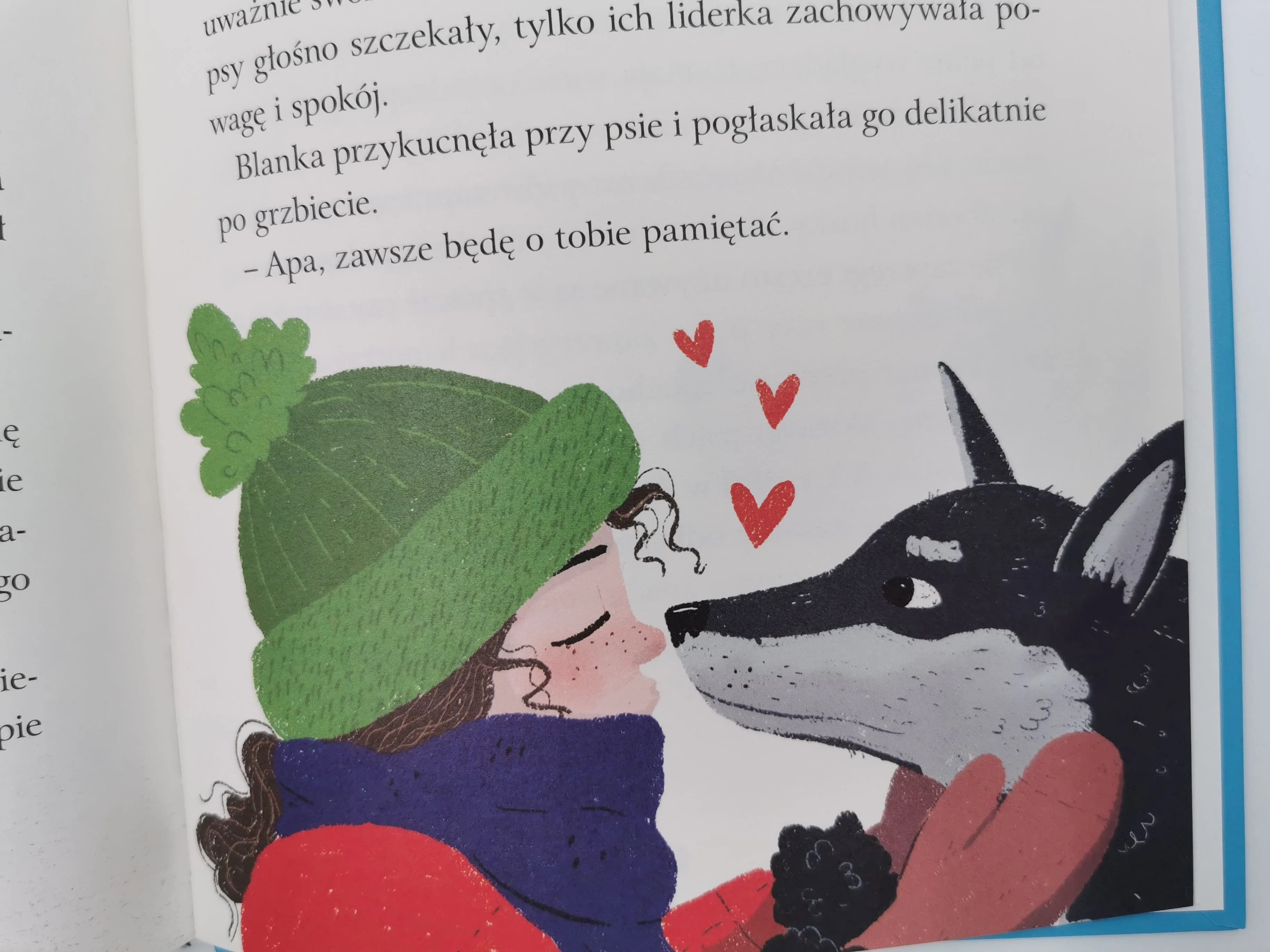 Apa pies zaprzęgowy