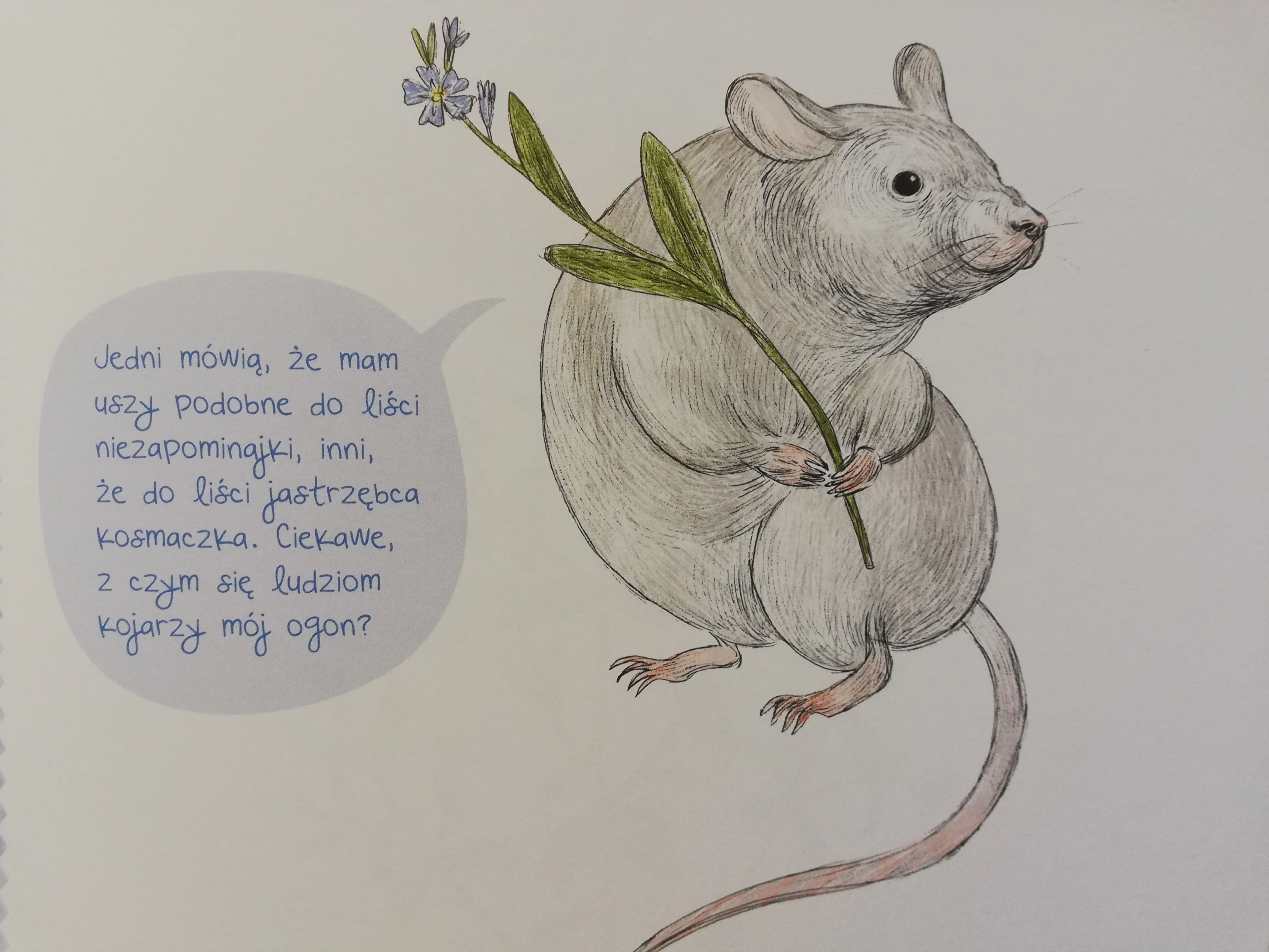 Mój pierwszy zielnik