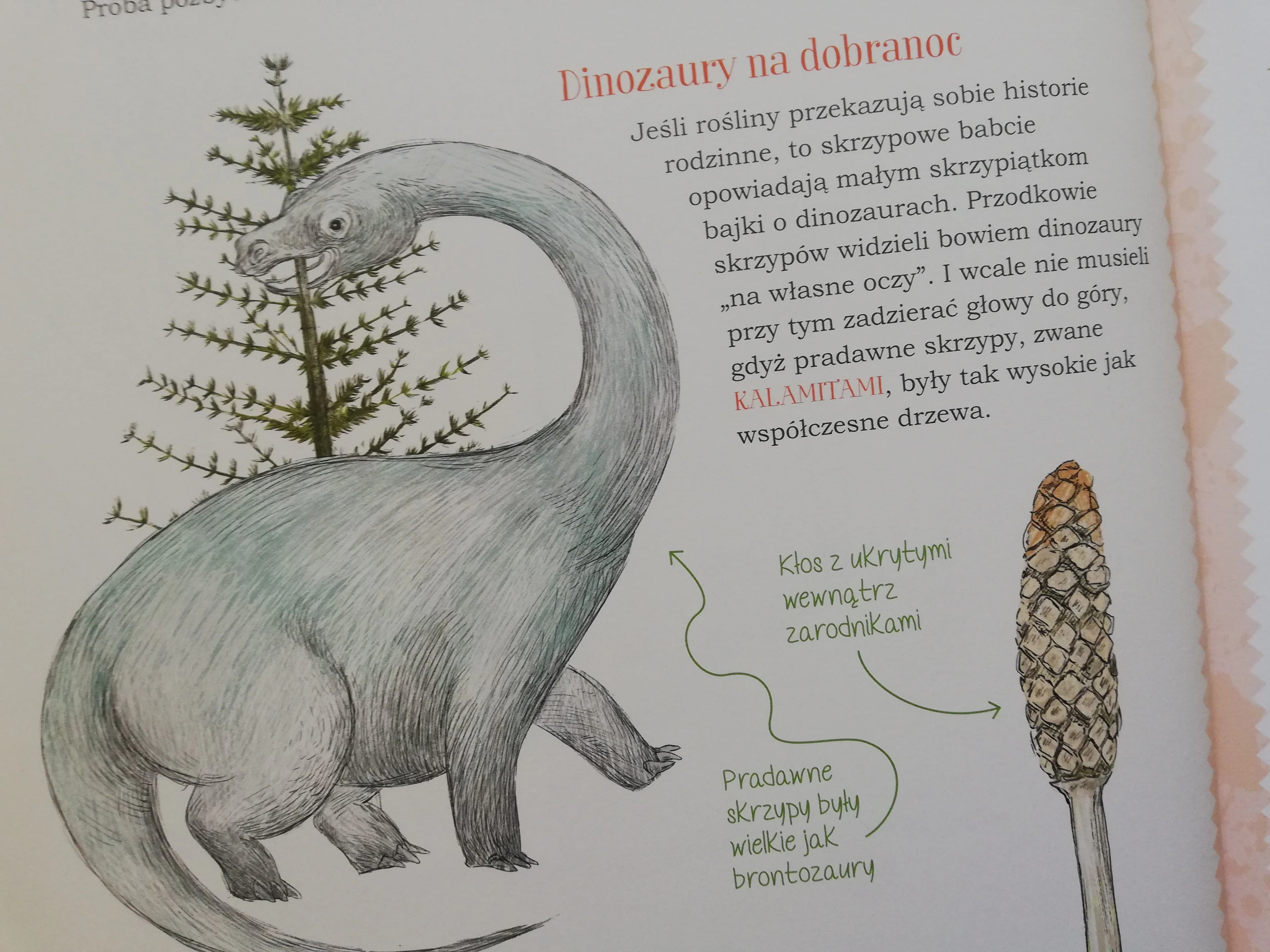 Mój pierwszy zielnik