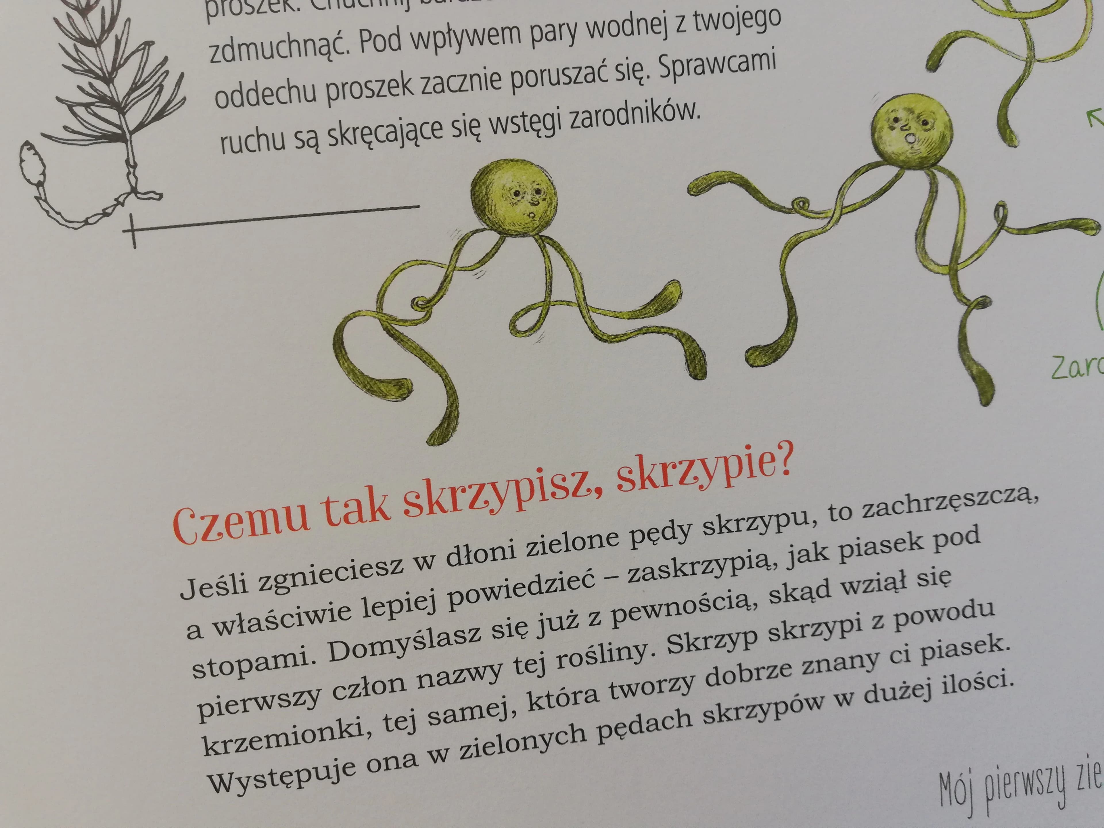 Mój pierwszy zielnik