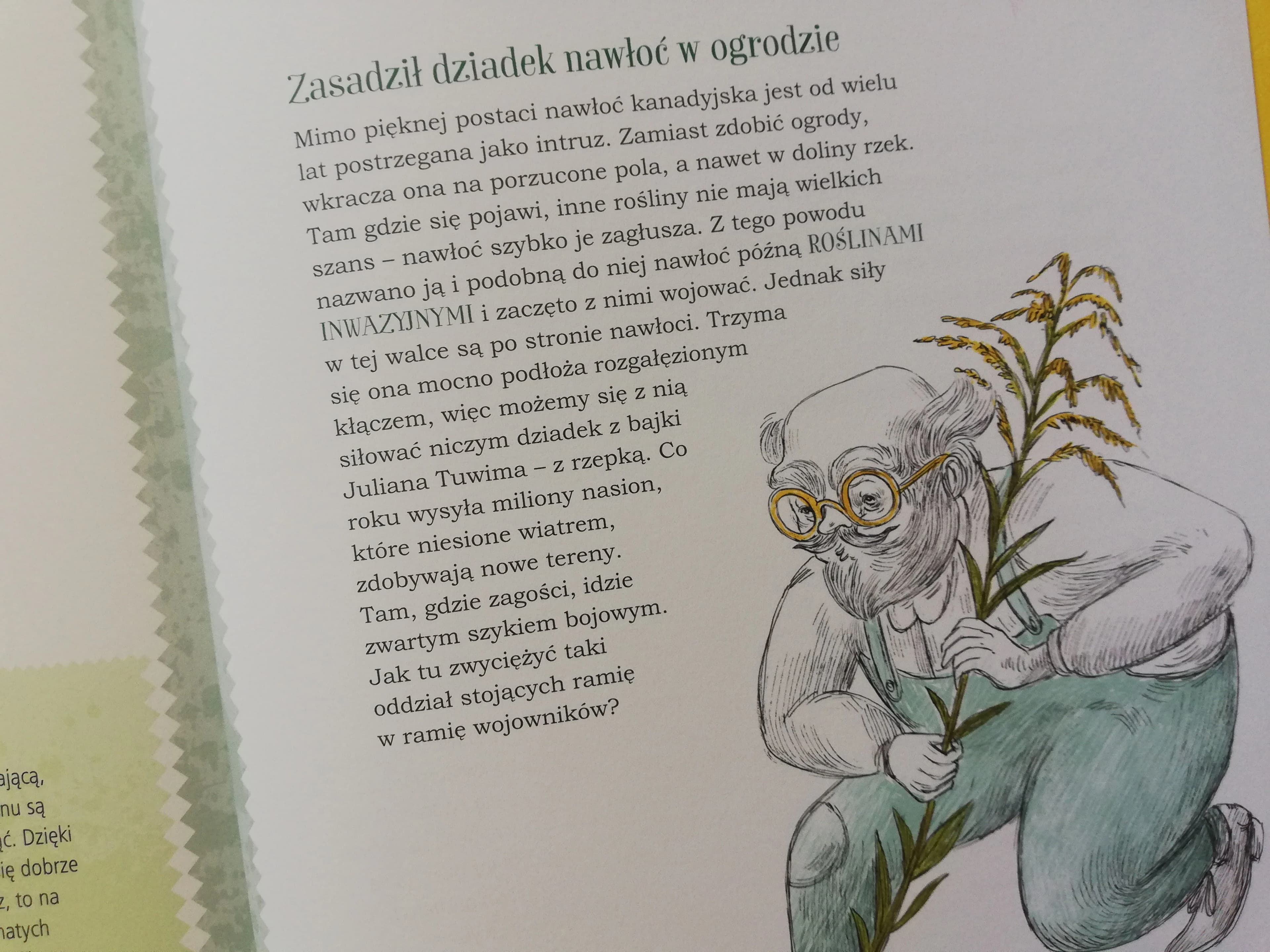 Mój pierwszy zielnik