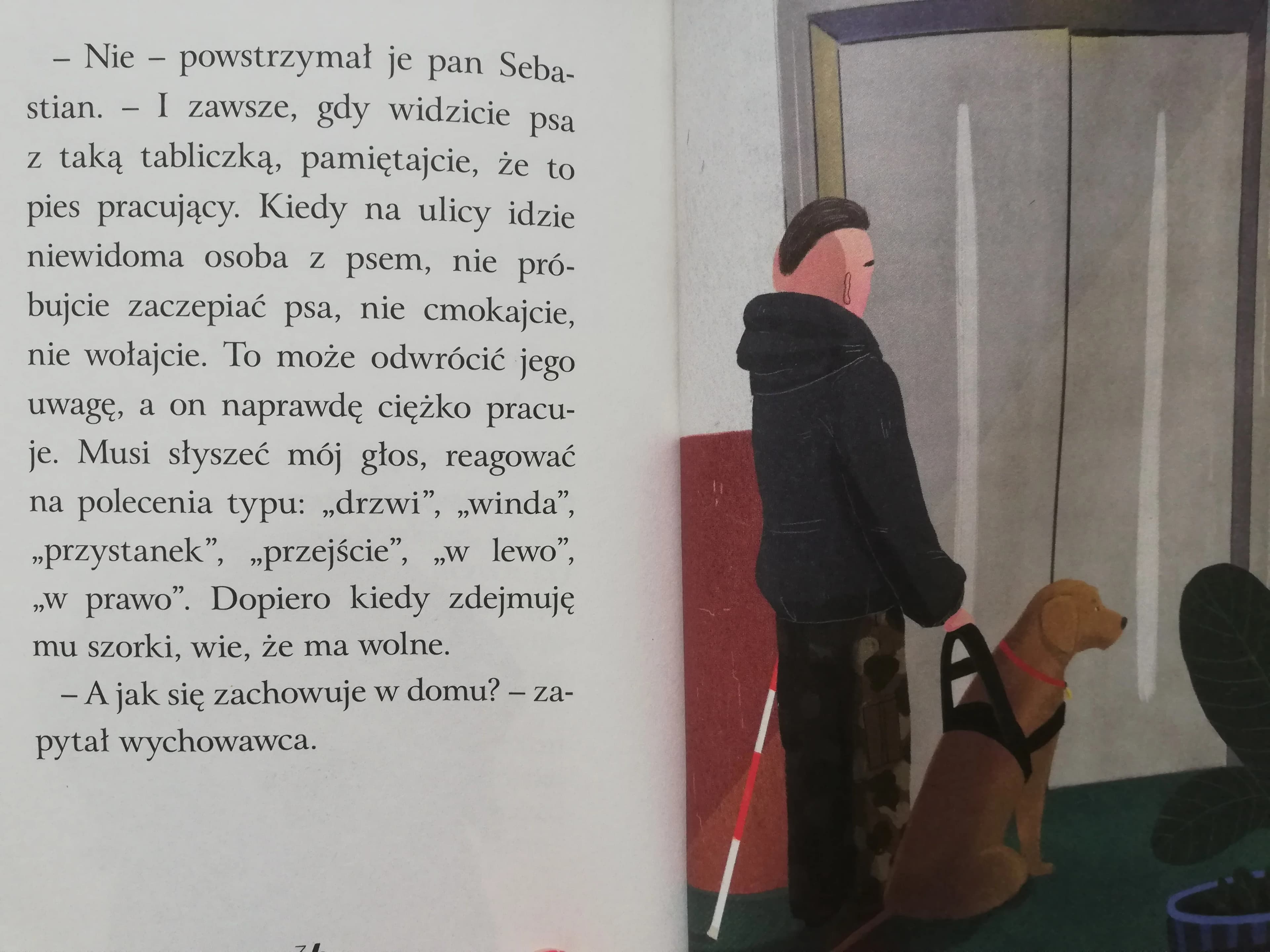 Rollek w pracy