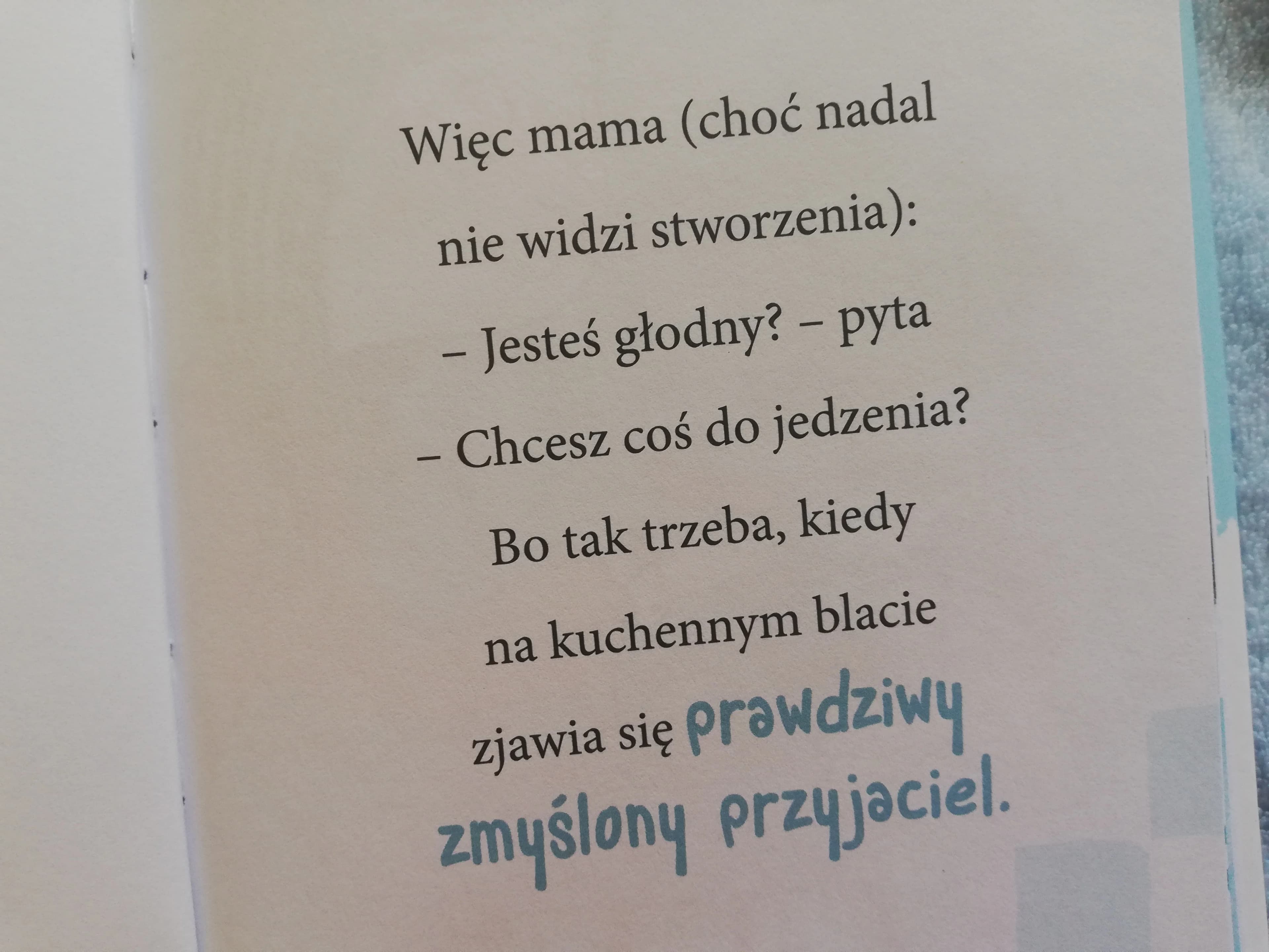niewidzialne koty też muszą jeść!